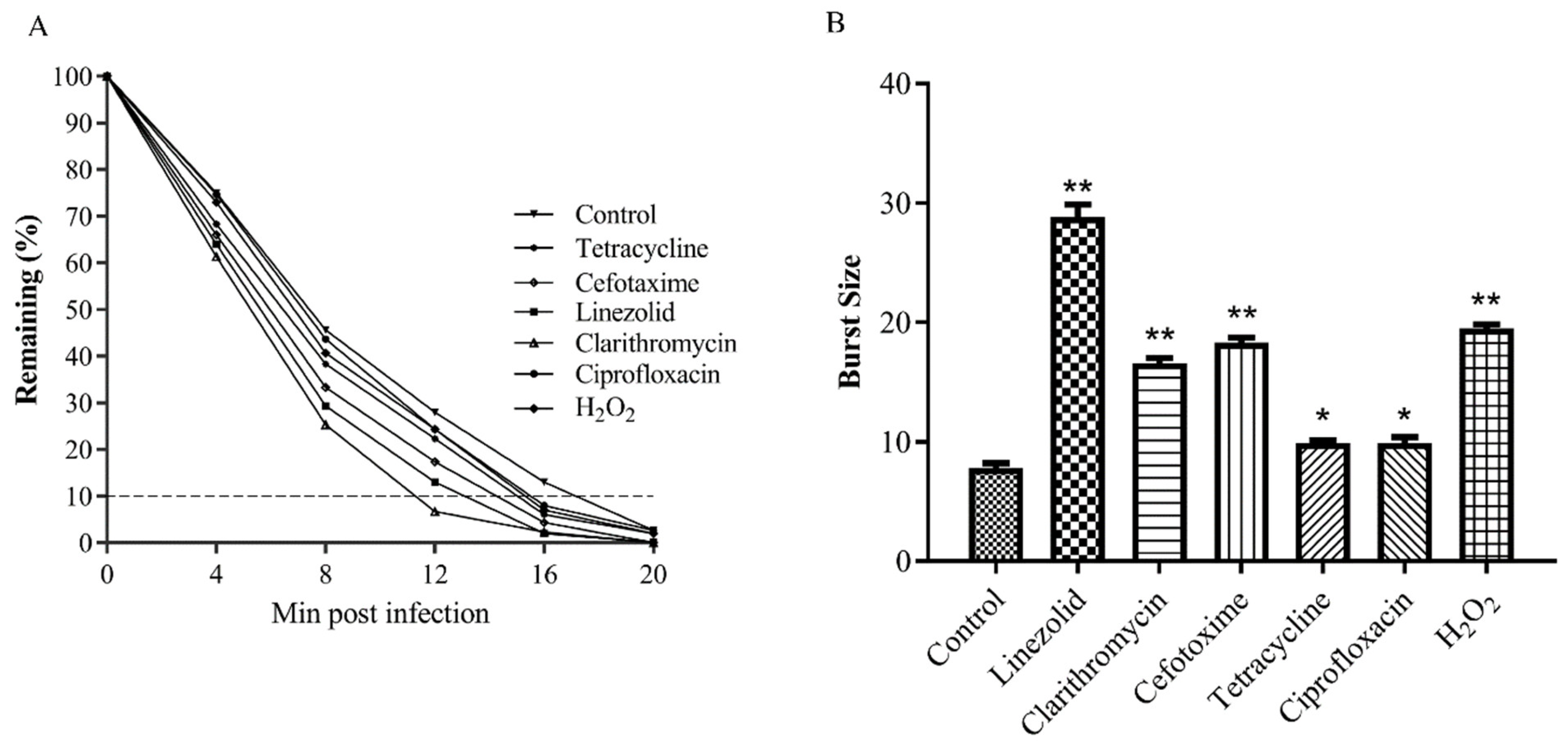 Antibiotics 10 00174 g004 Antibiotics 10 00174 g004