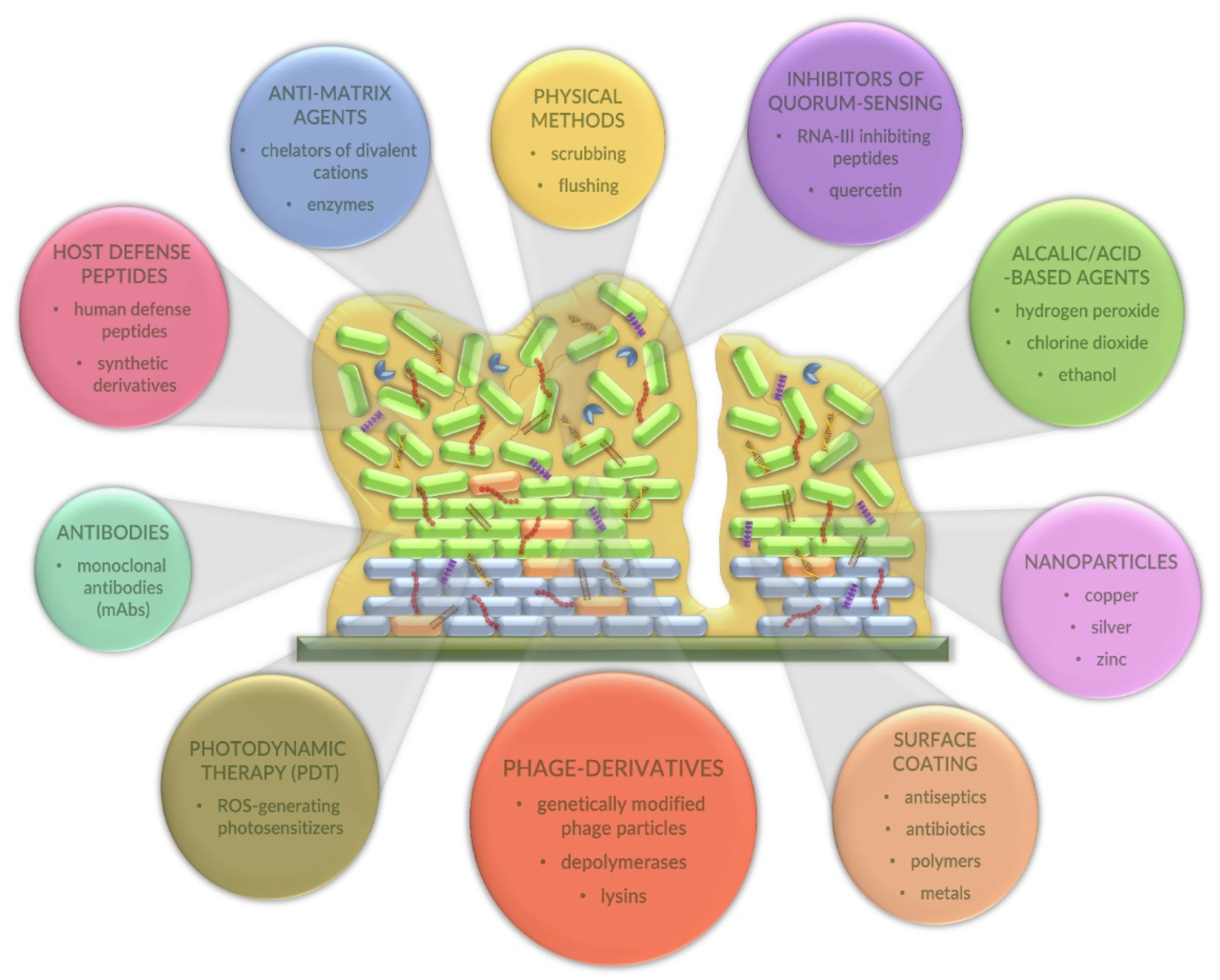 Antibiotics 10 00175 g003