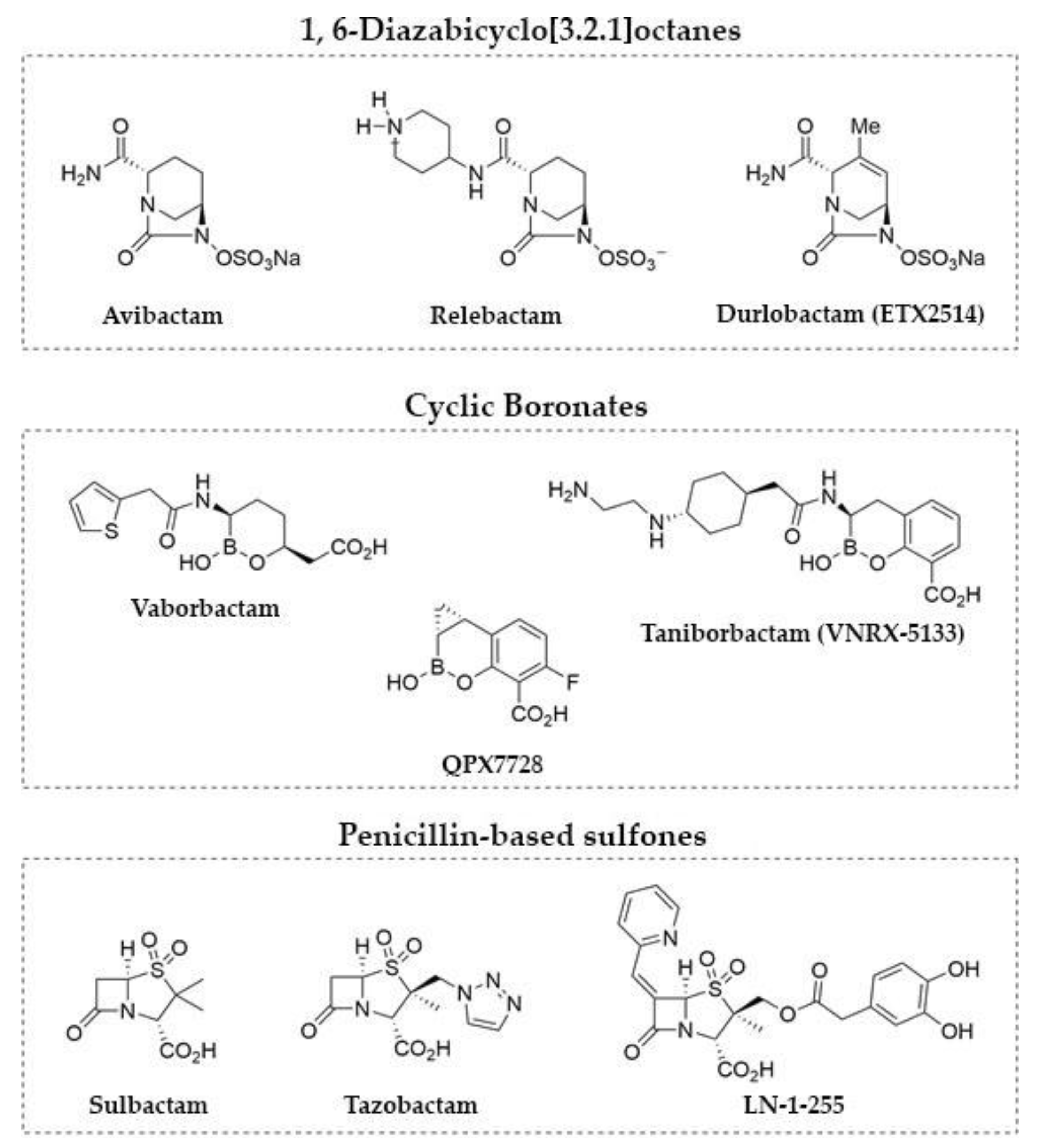 Antibiotics 10 00210 g001