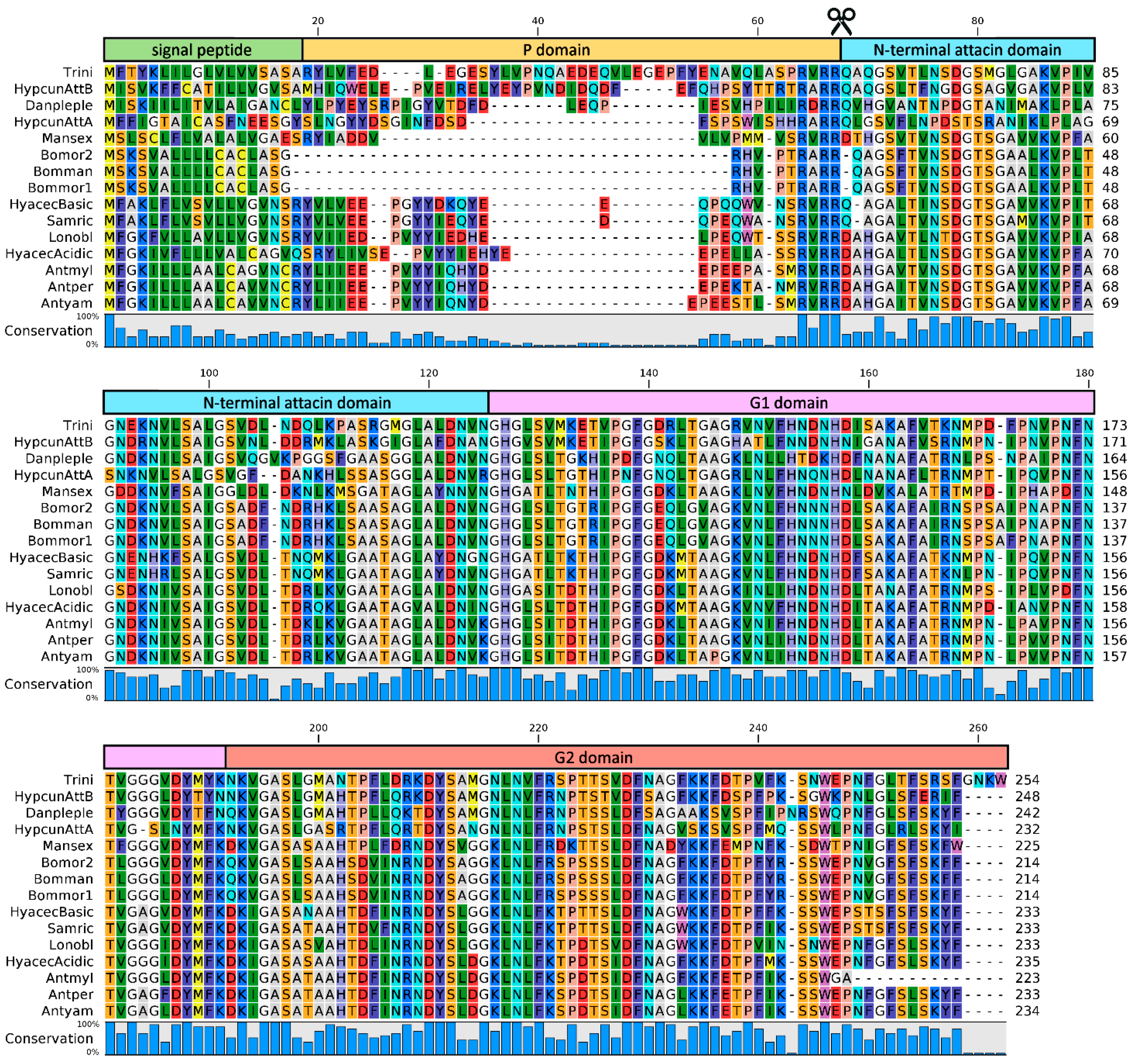 Antibiotics 10 00212 g001