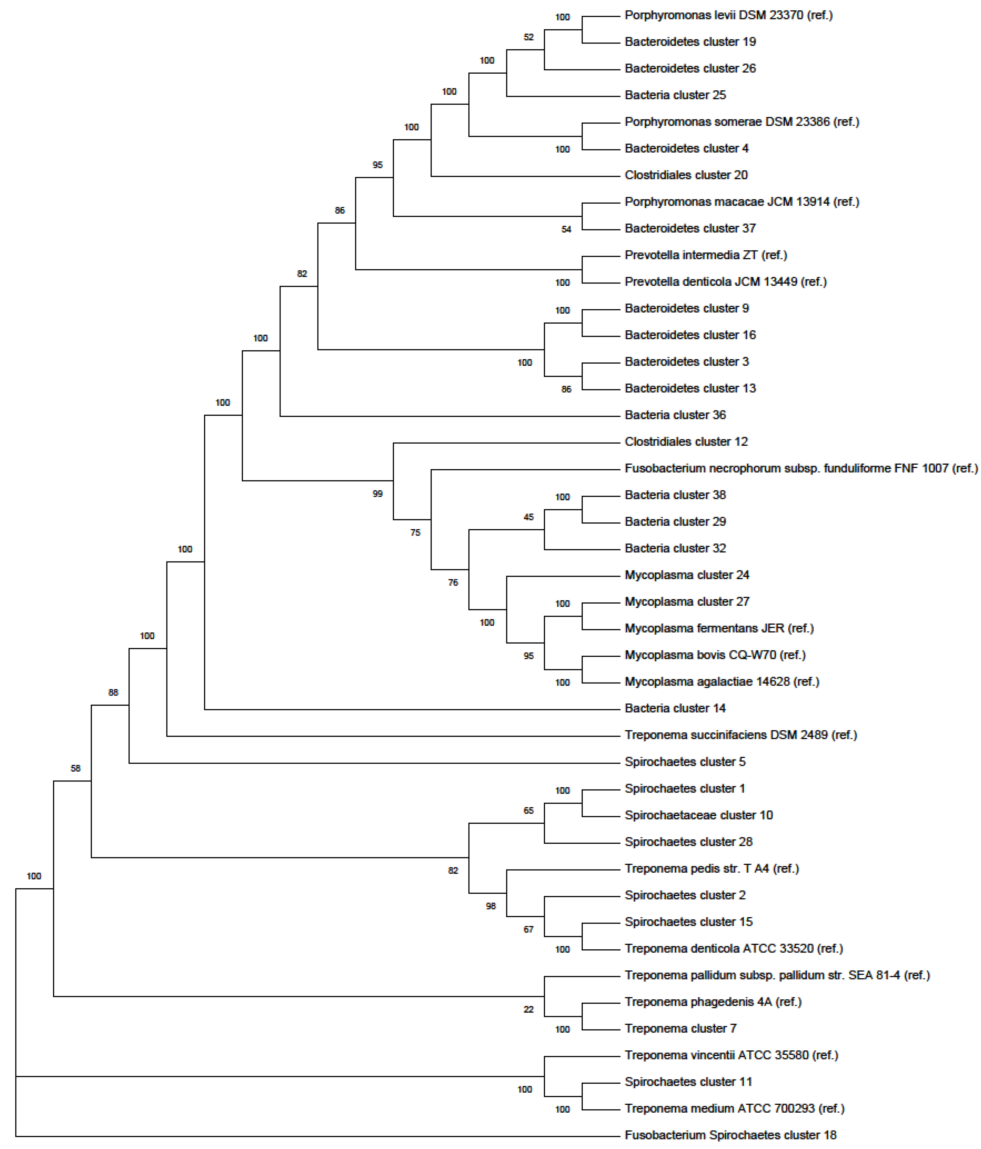 Antibiotics 10 00221 g001