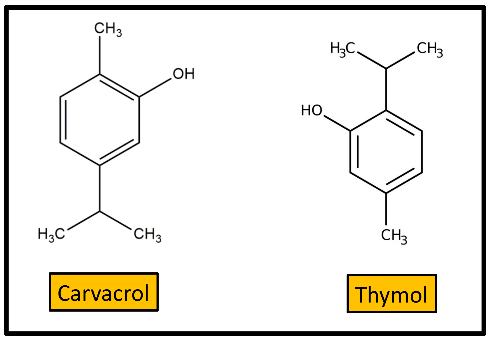 Antibiotics 10 00231 g006 Antibiotics 10 00231 g006