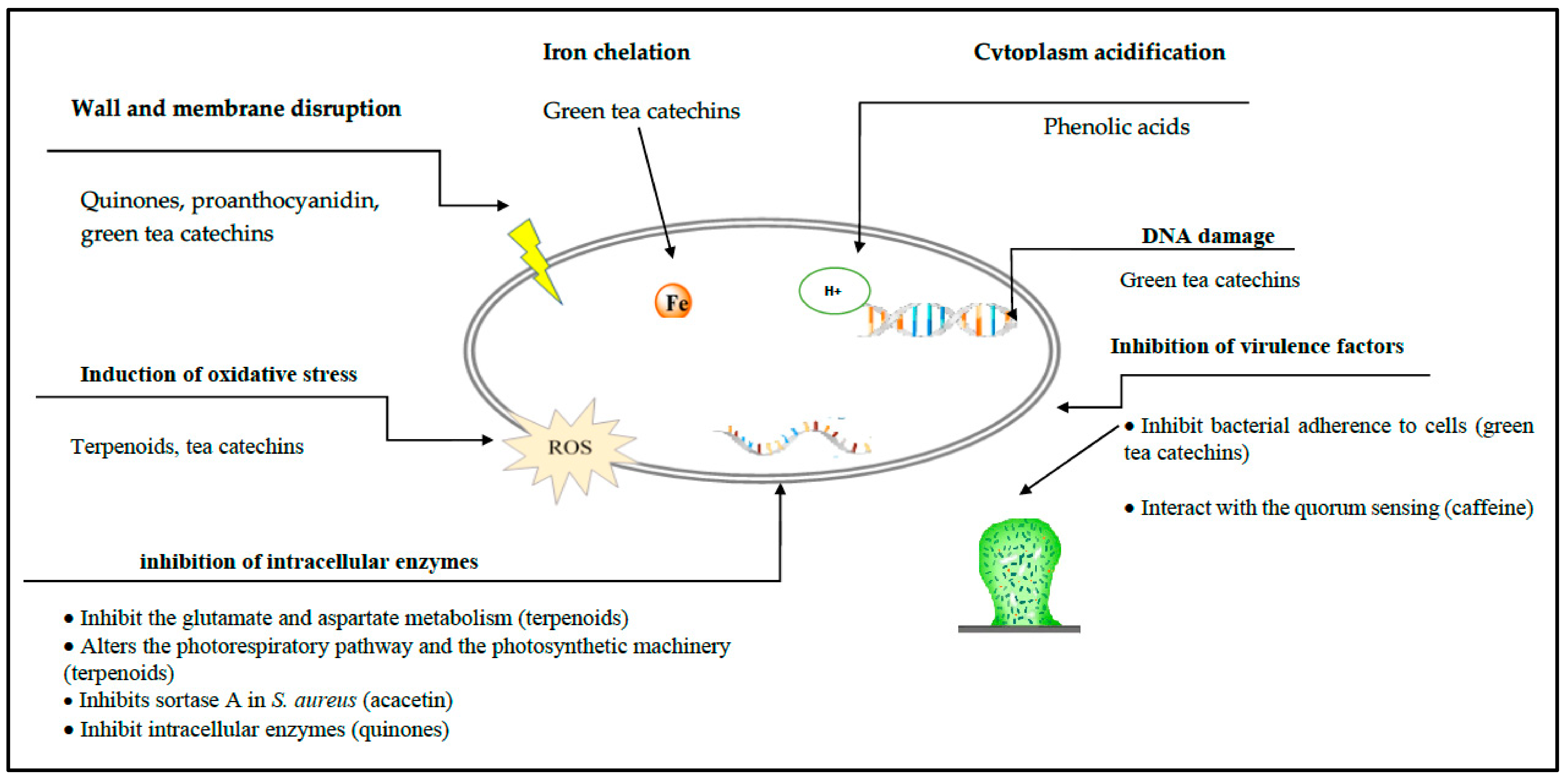 Antibiotics 10 00231 g008 Antibiotics 10 00231 g008
