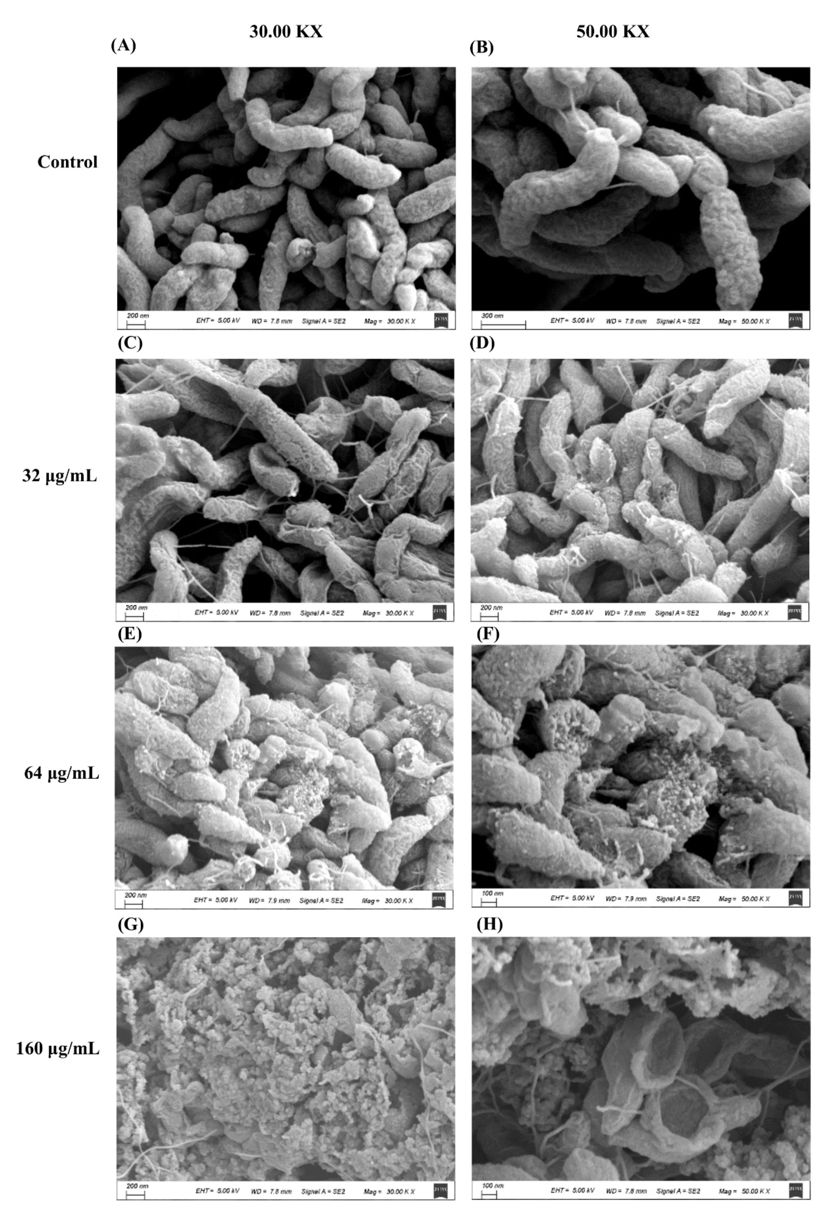 Antibiotics 10 00246 g002 Antibiotics 10 00246 g002
