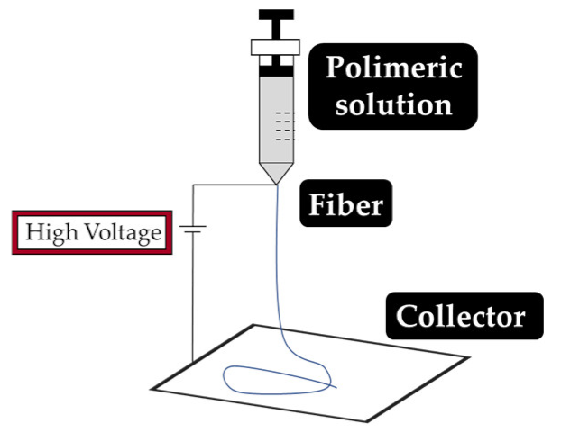 Antibiotics 10 00248 i013