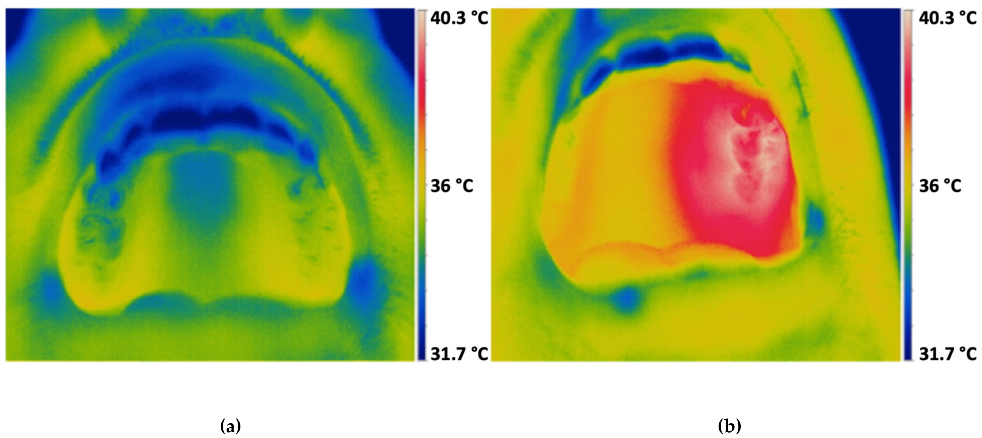 Antibiotics 10 00251 g002