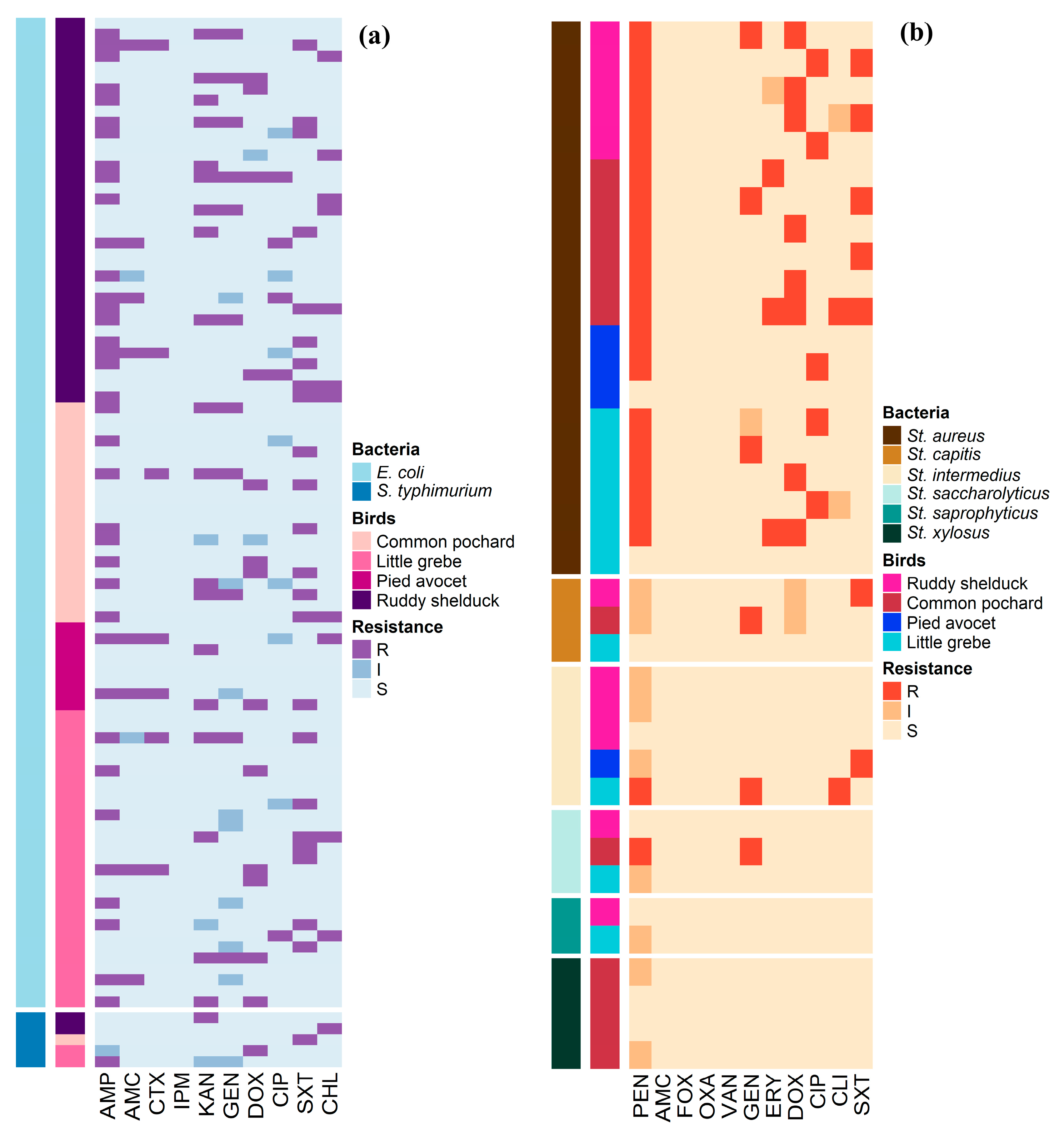 Antibiotics 10 00260 g001