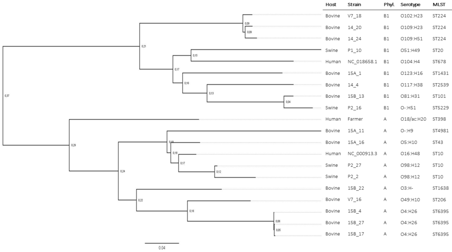 Antibiotics 10 00313 g001