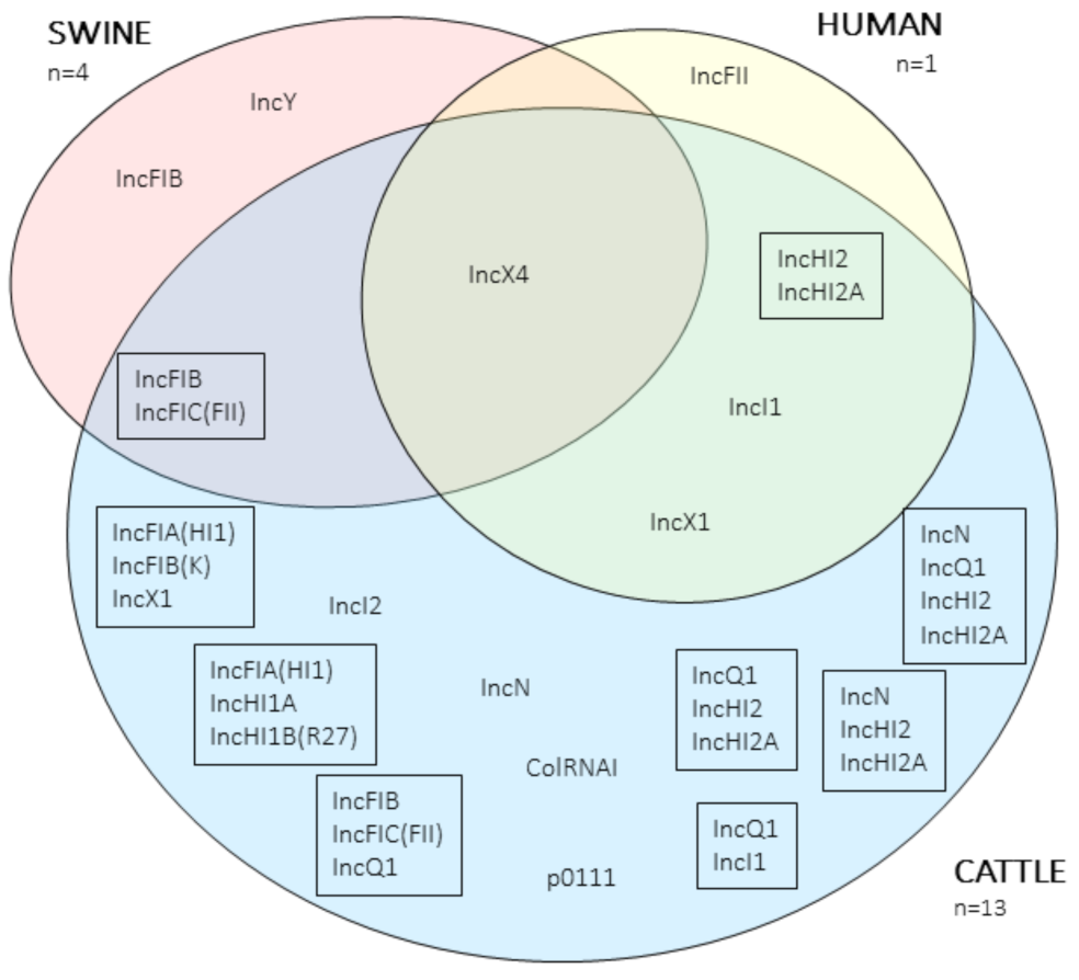Antibiotics 10 00313 g002