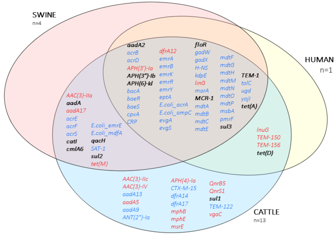 Antibiotics 10 00313 g003
