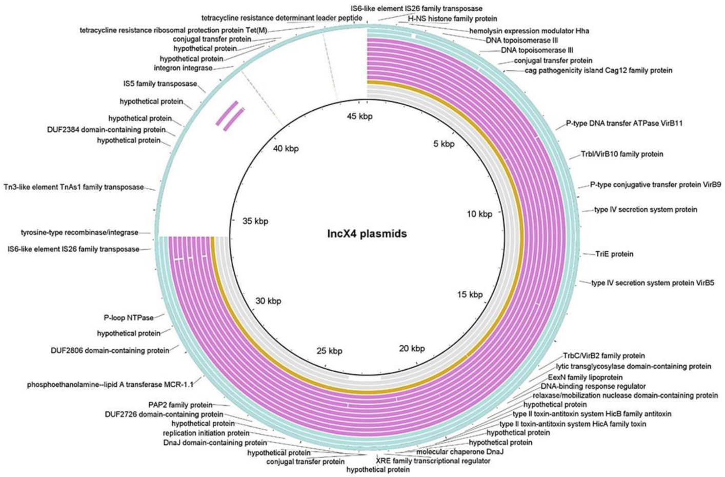 Antibiotics 10 00313 g004