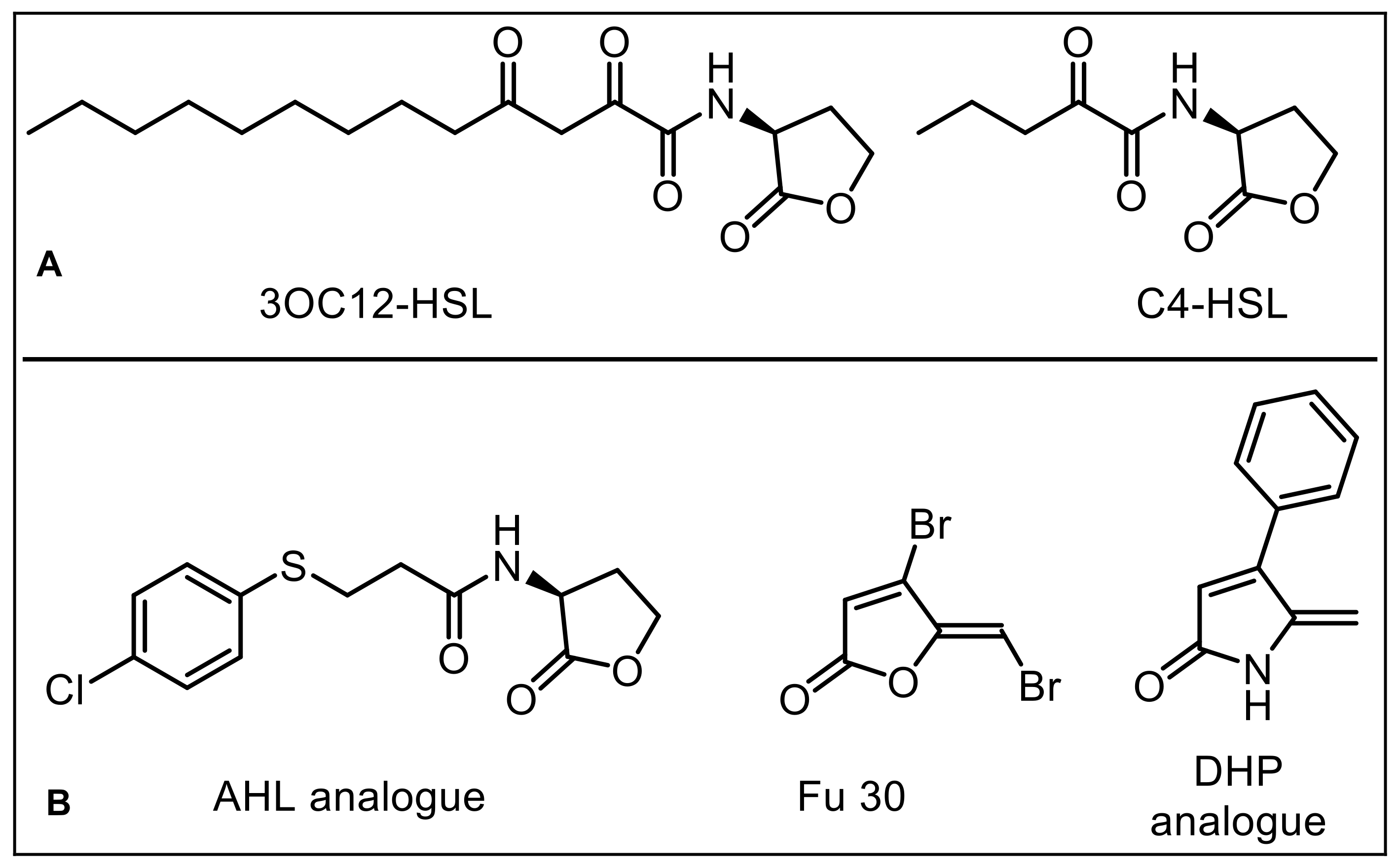 Antibiotics 10 00321 g001