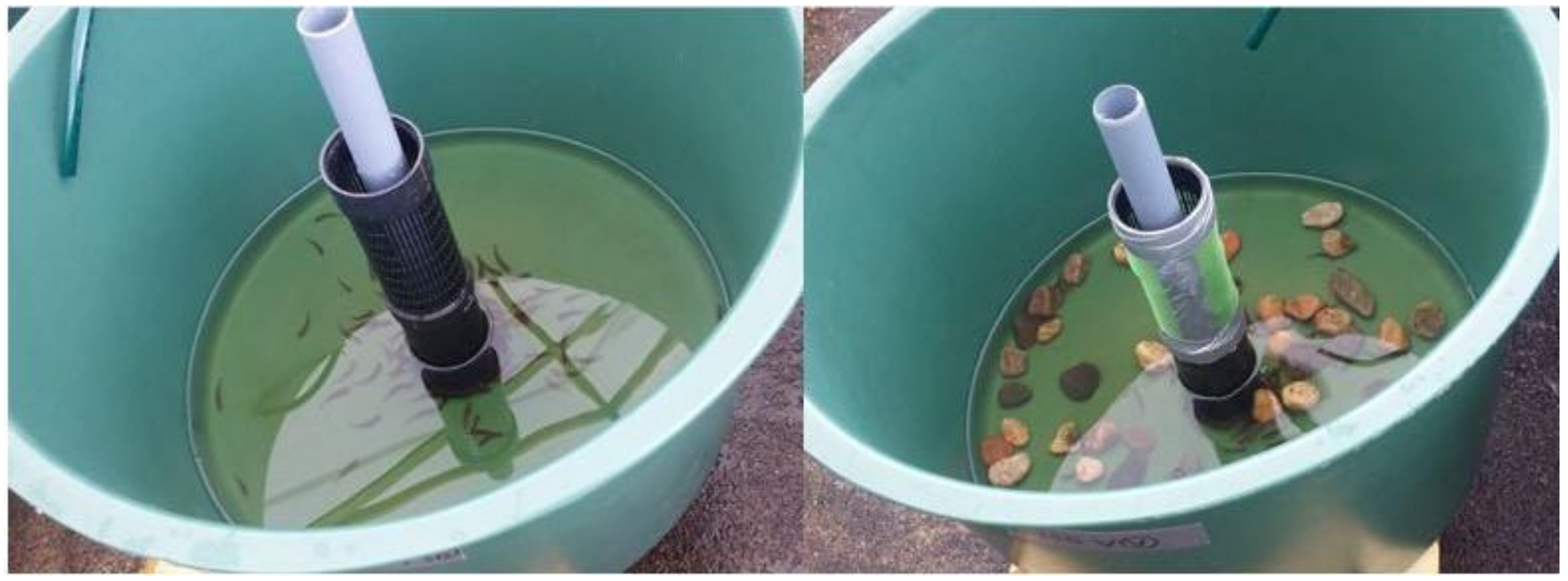 Antibiotics 10 00335 g002