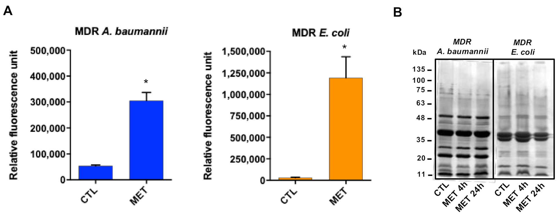 Antibiotics 10 00336 g002