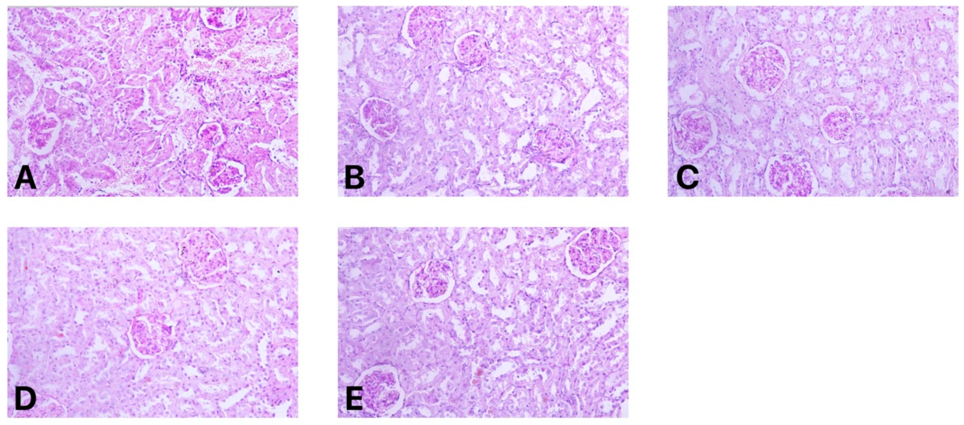 Antibiotics 10 00359 g002
