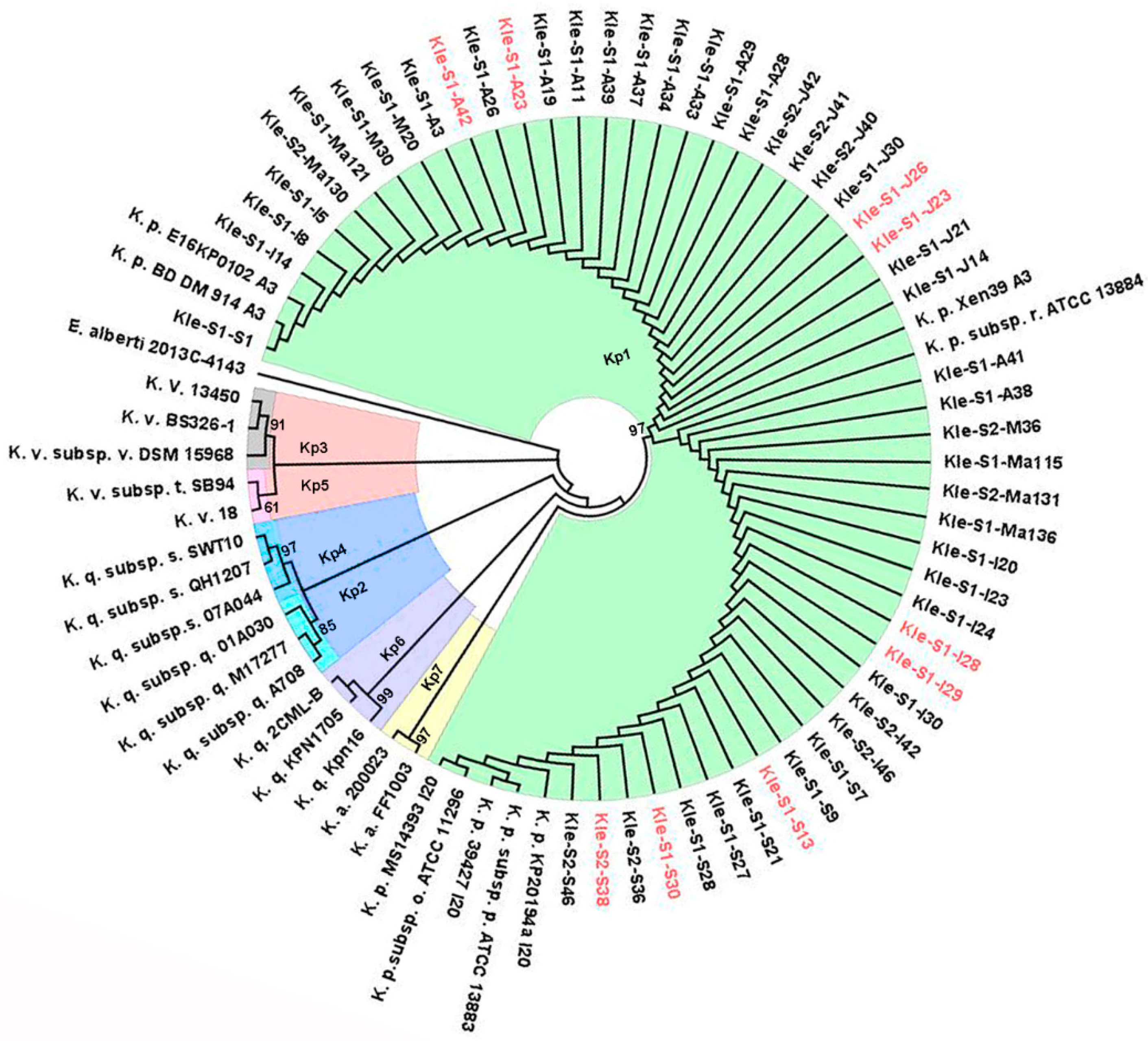 Antibiotics 10 00361 g001 Antibiotics 10 00361 g001