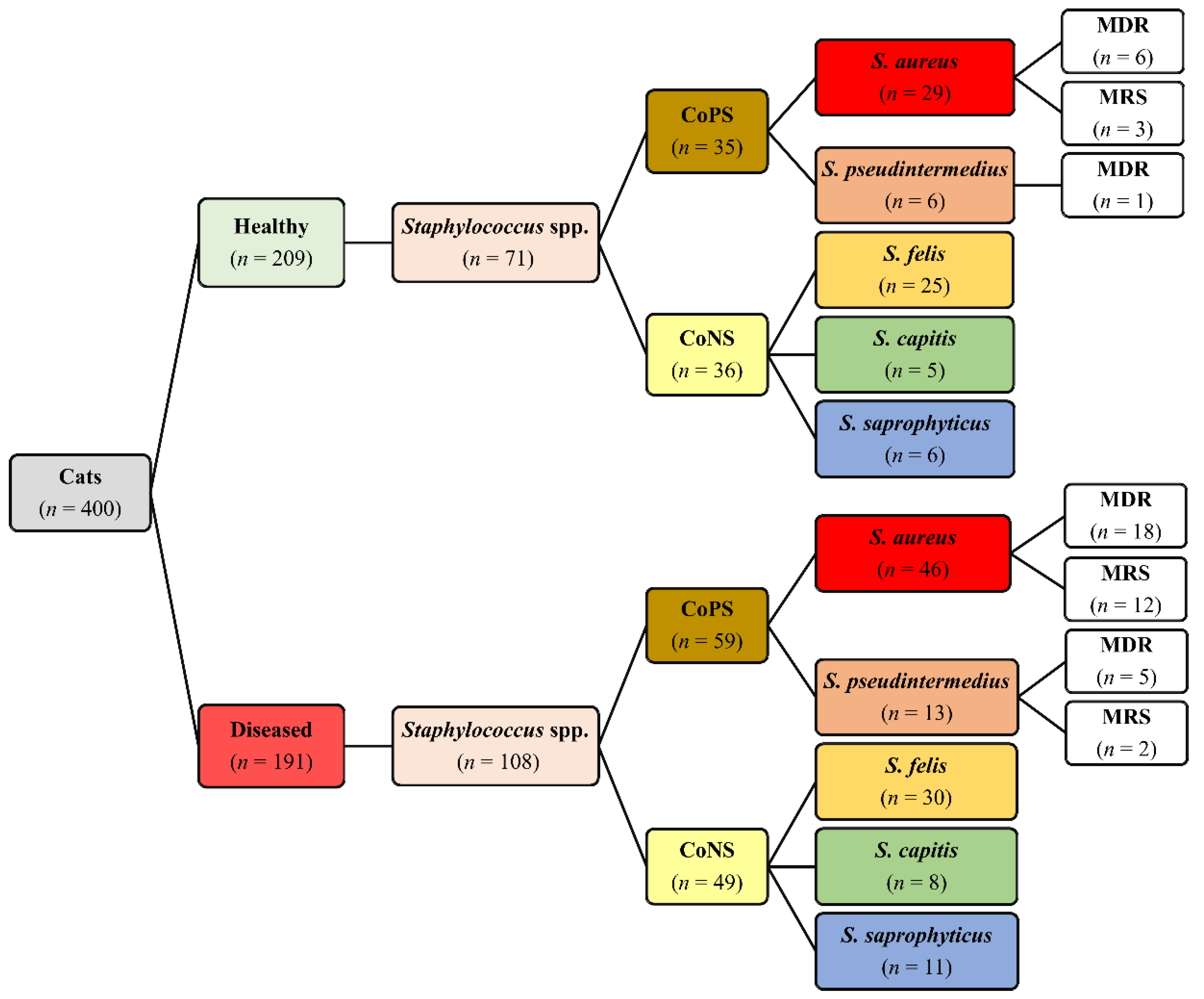 Antibiotics 10 00367 g001