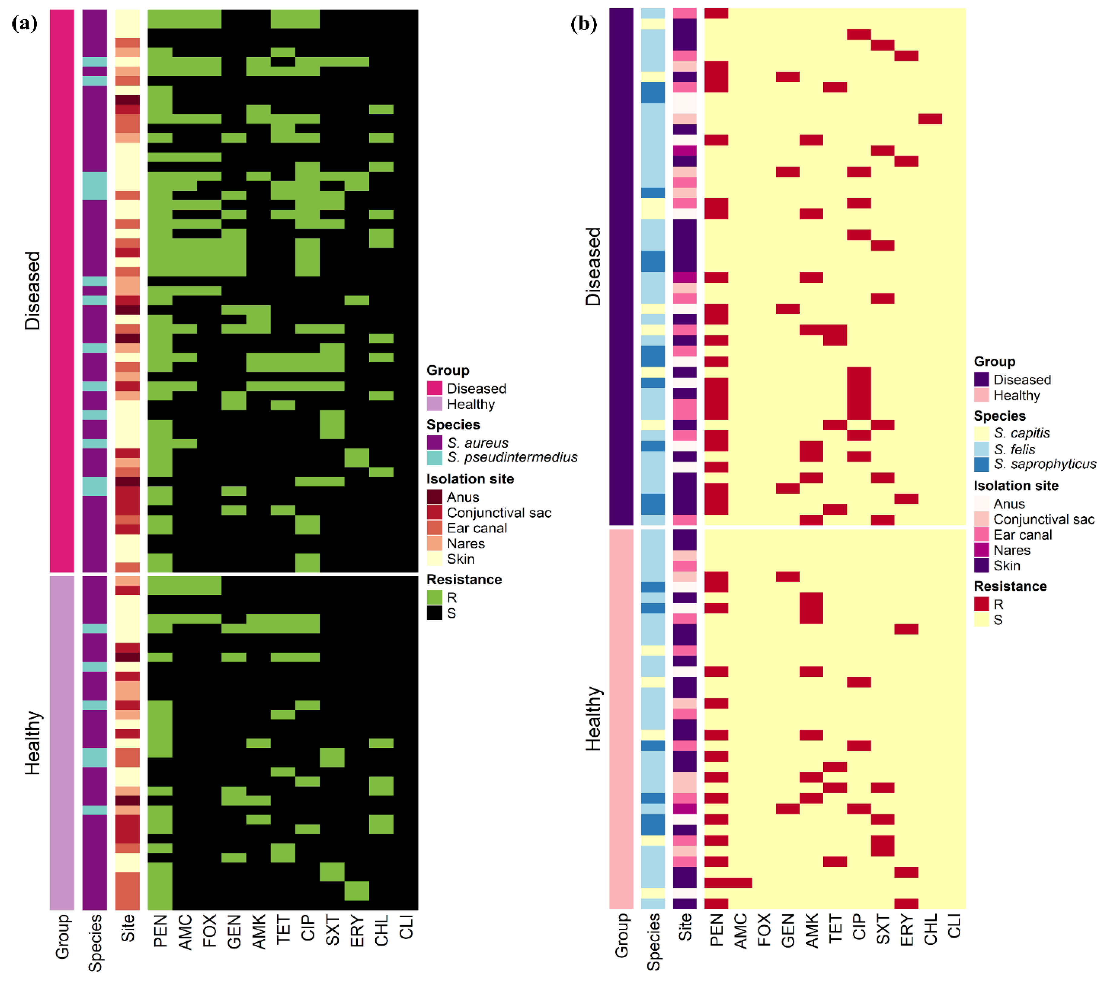 Antibiotics 10 00367 g003