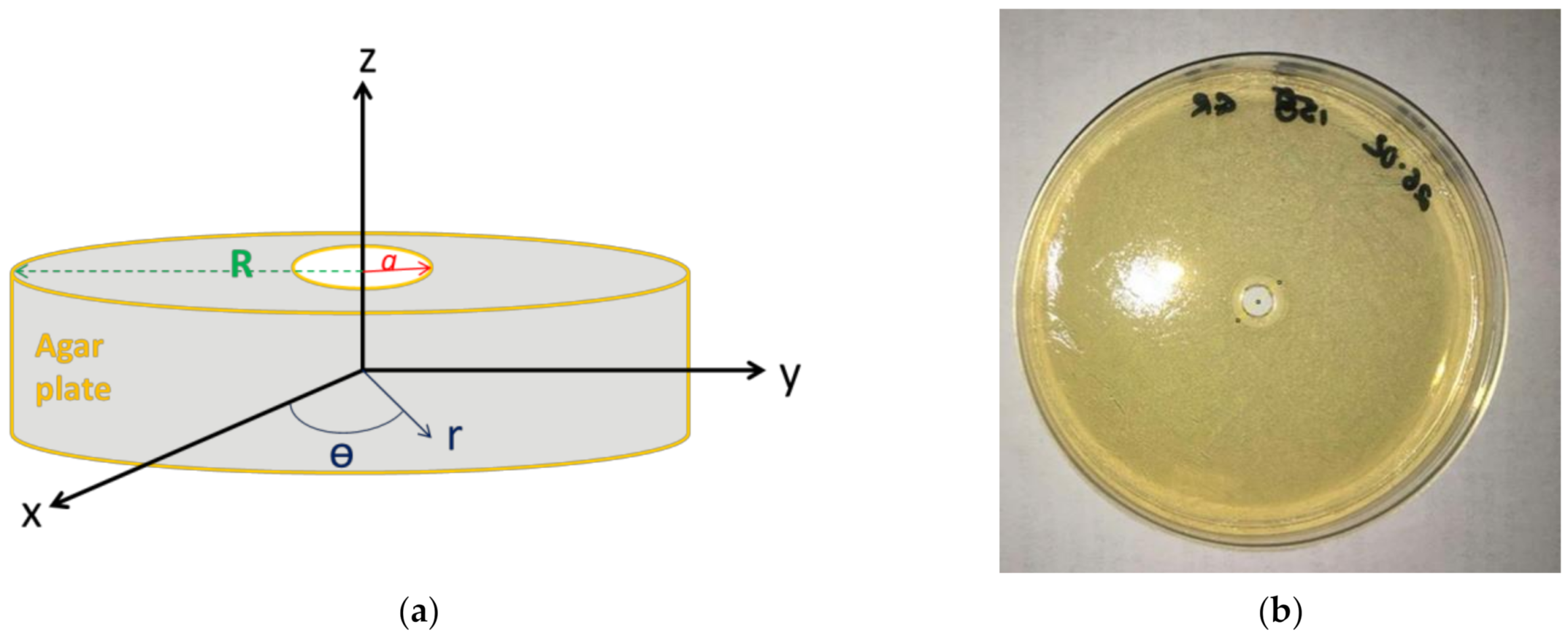 Antibiotics 10 00368 g001 Antibiotics 10 00368 g001