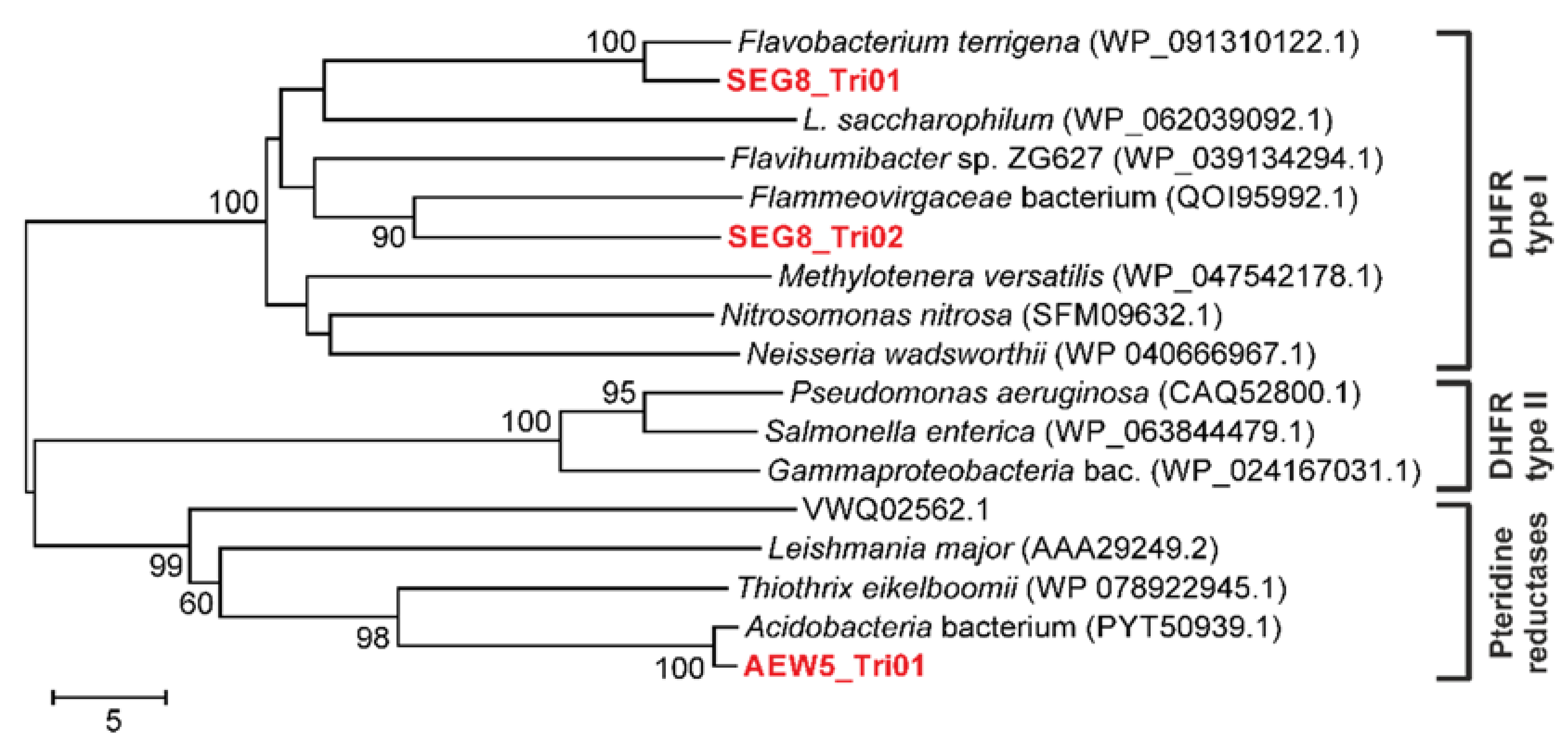 Antibiotics 10 00378 g001