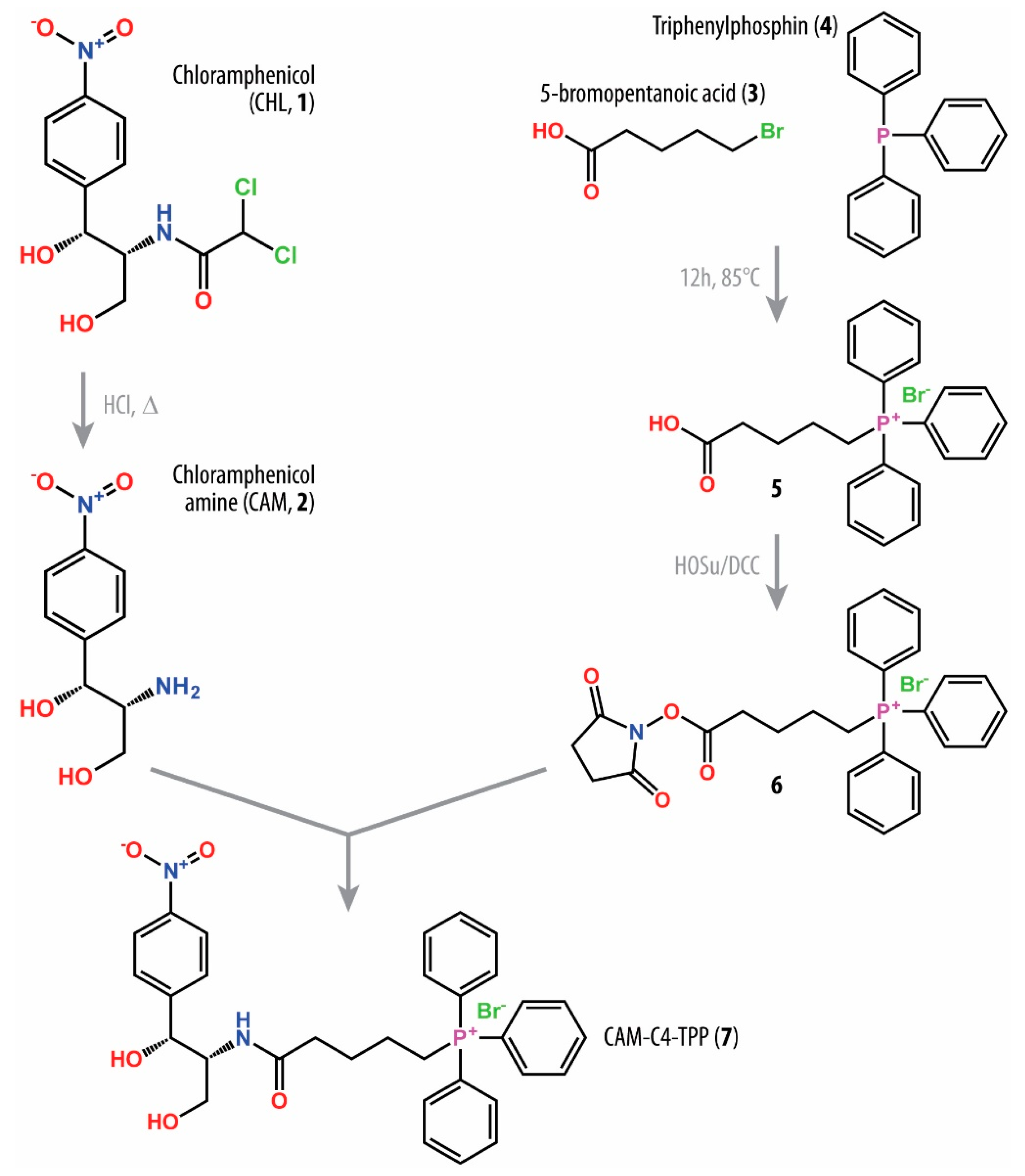 Antibiotics 10 00390 g001