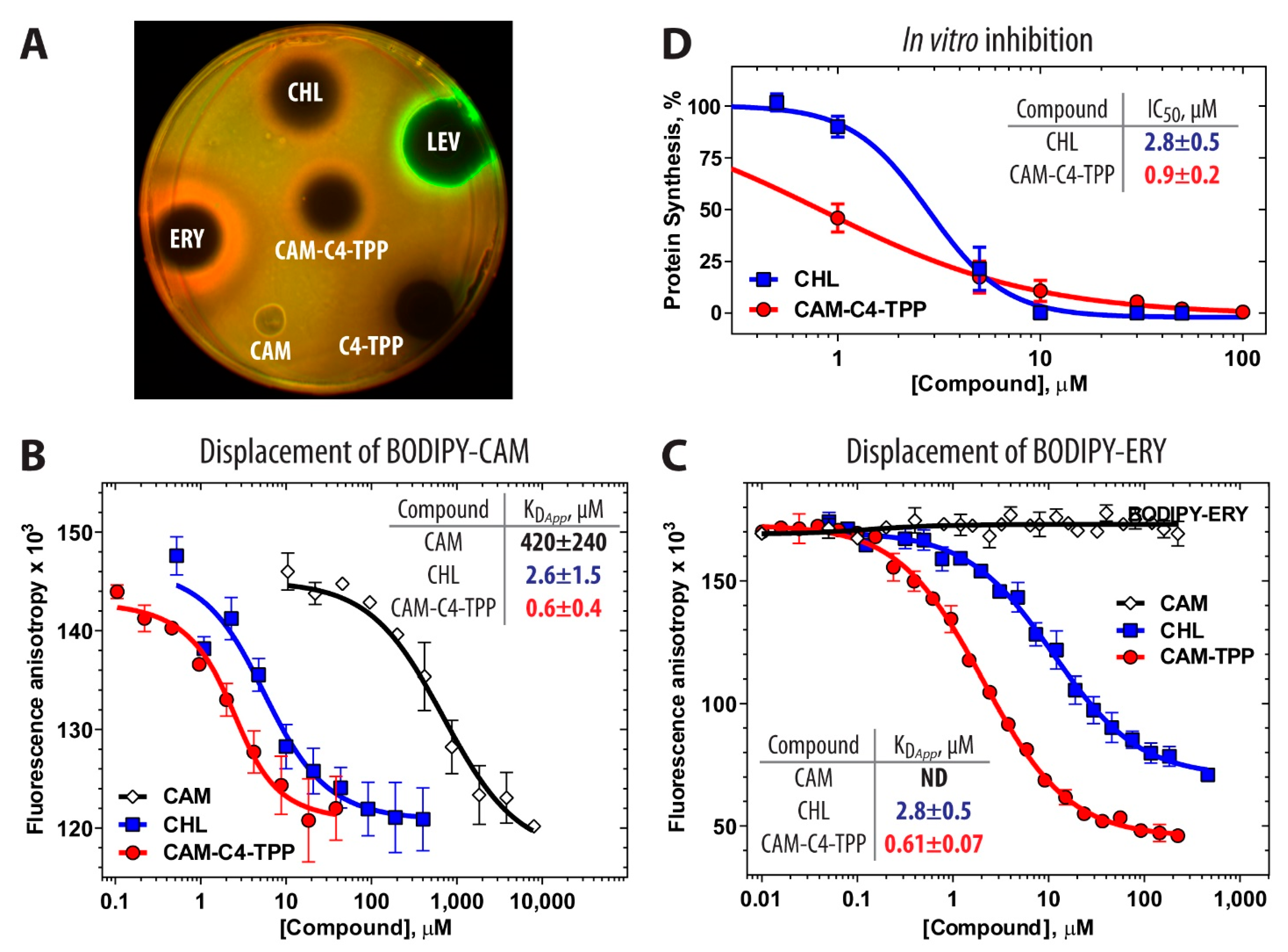 Antibiotics 10 00390 g002