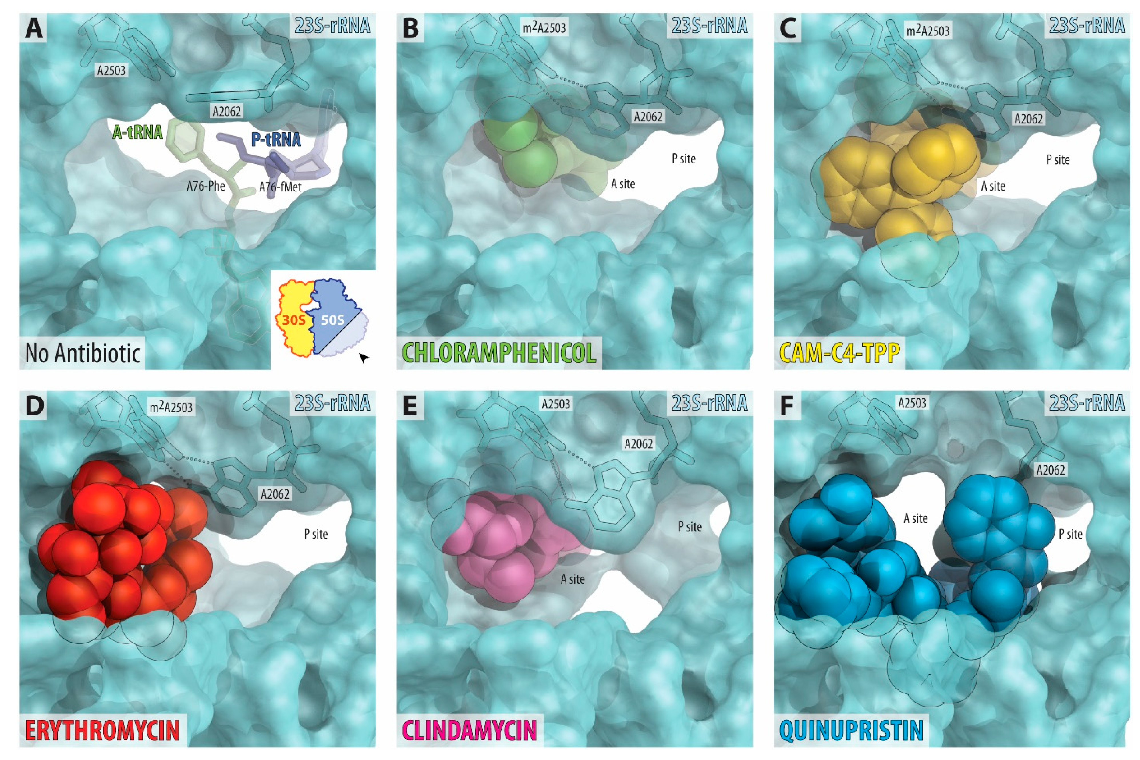 Antibiotics 10 00390 g005