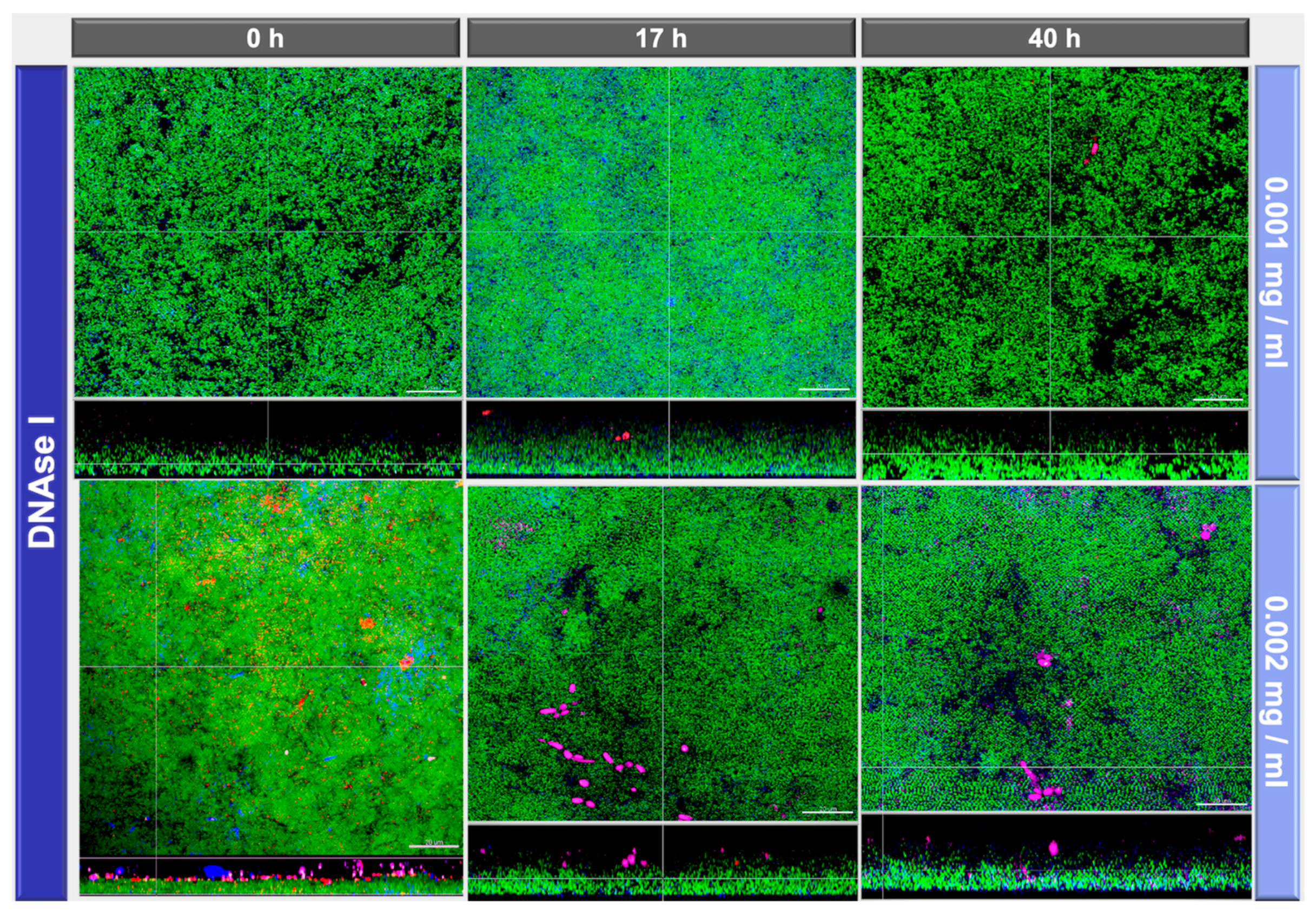 Antibiotics 10 00400 g003