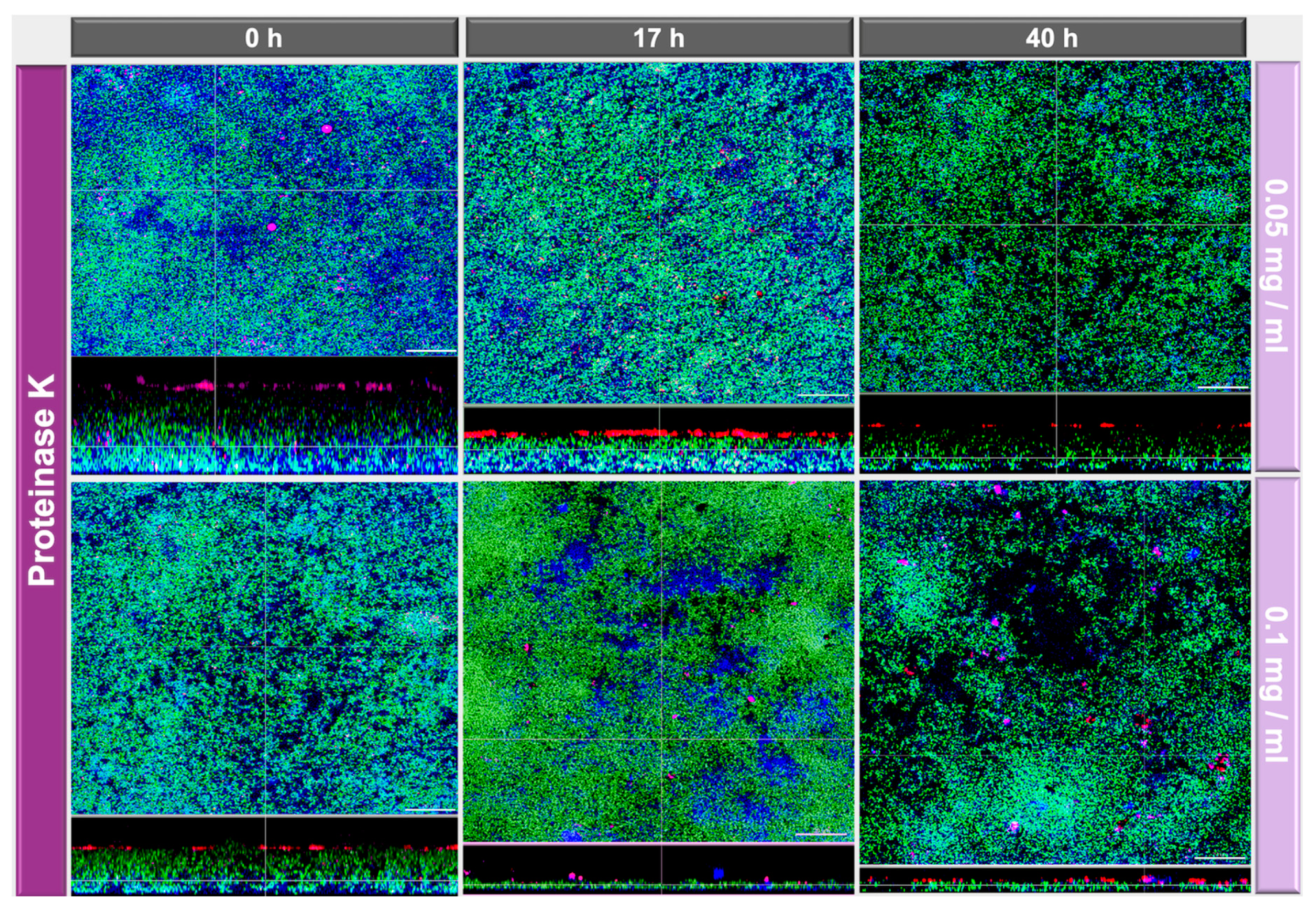 Antibiotics 10 00400 g004