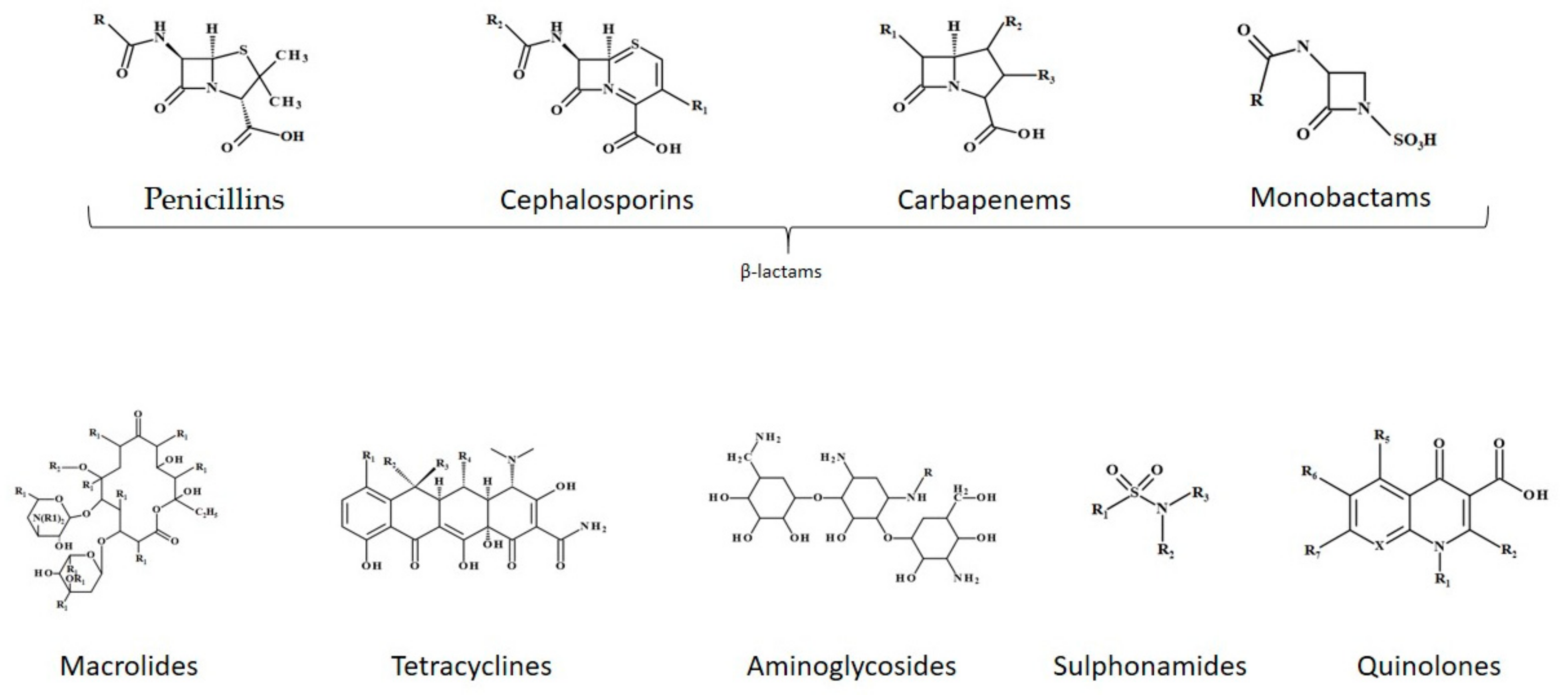 Antibiotics 10 00401 g002