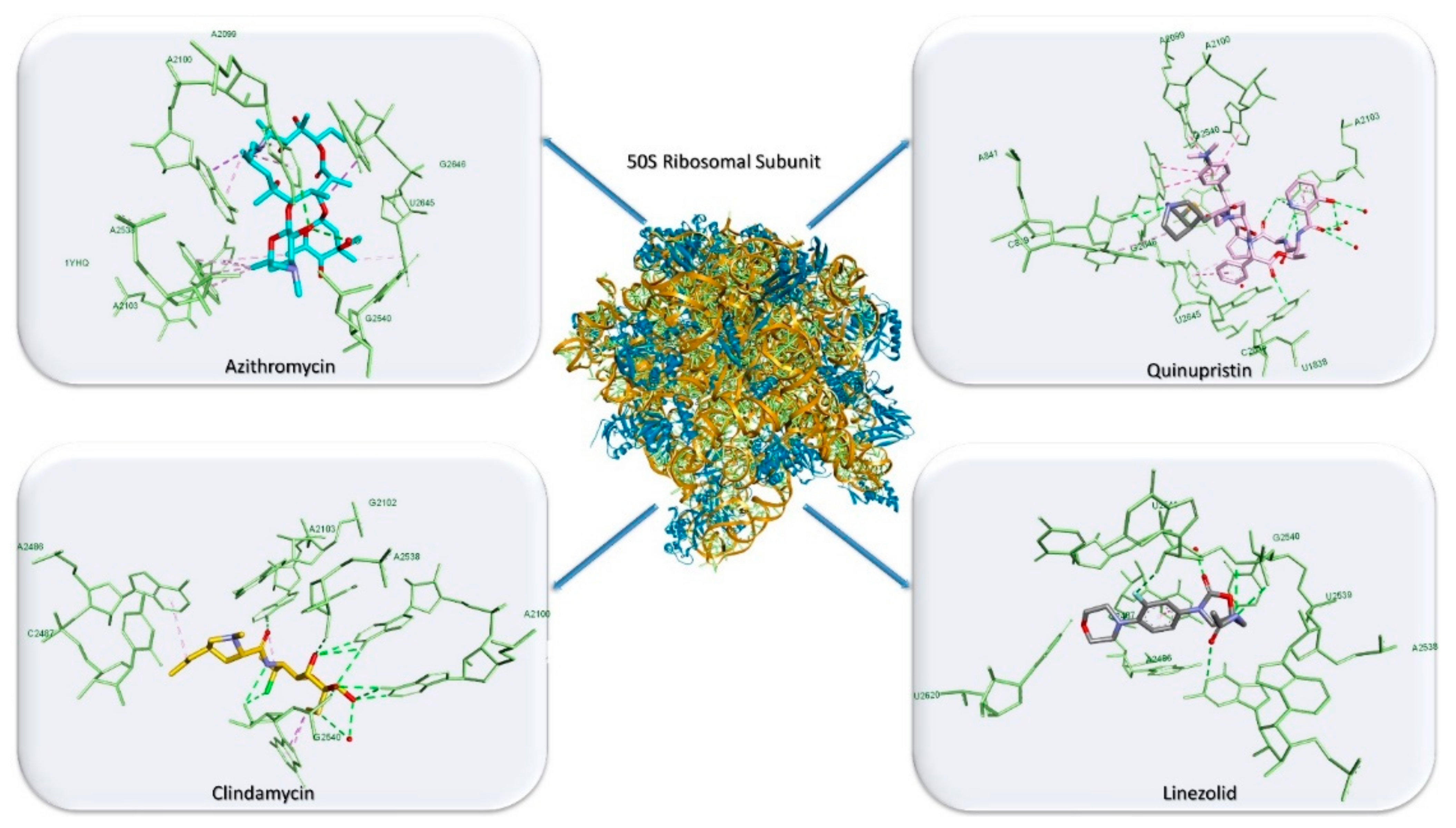 Antibiotics 10 00401 g004
