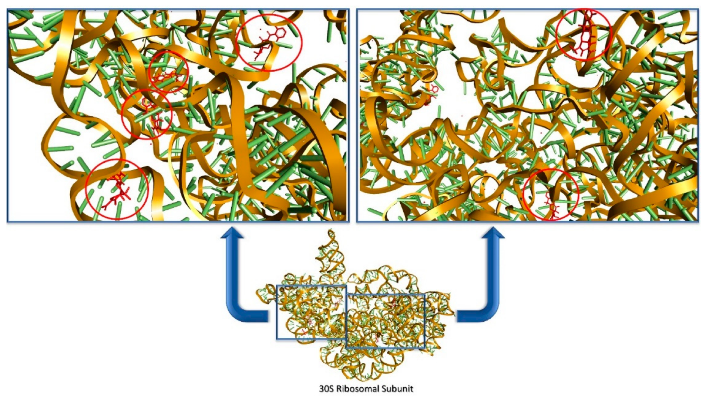 Antibiotics 10 00401 g005