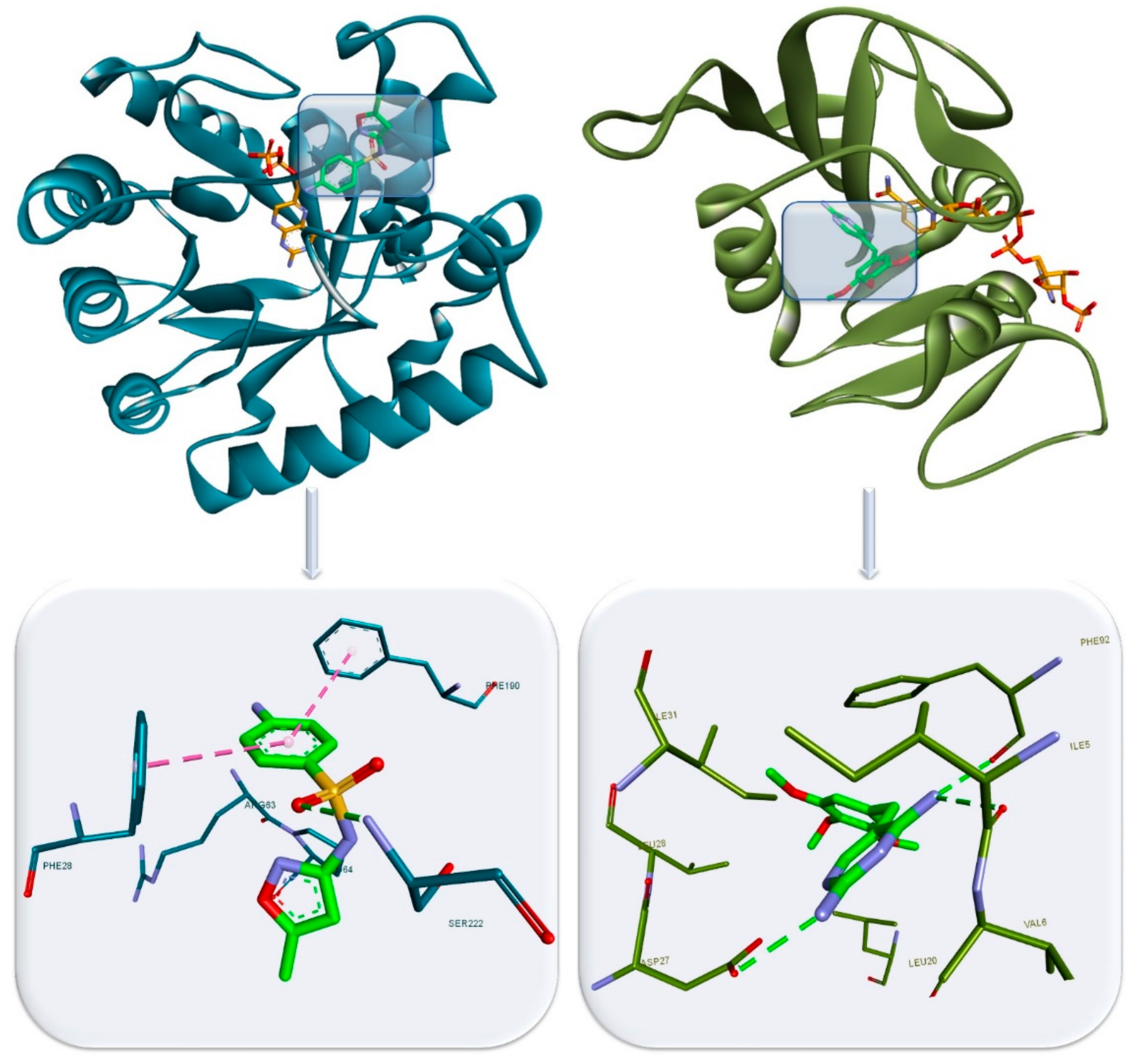 Antibiotics 10 00401 g007