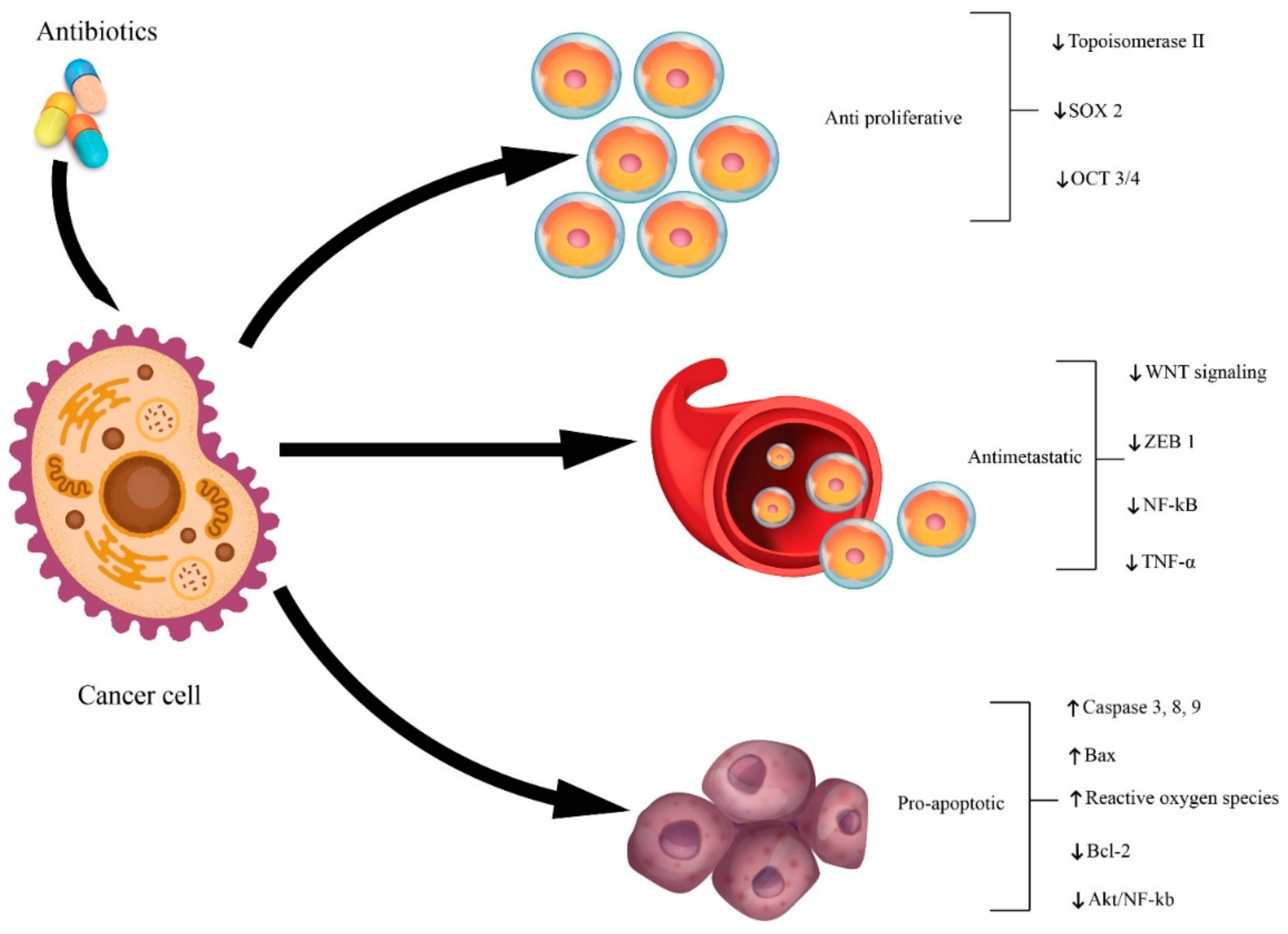 Antibiotics 10 00401 g010