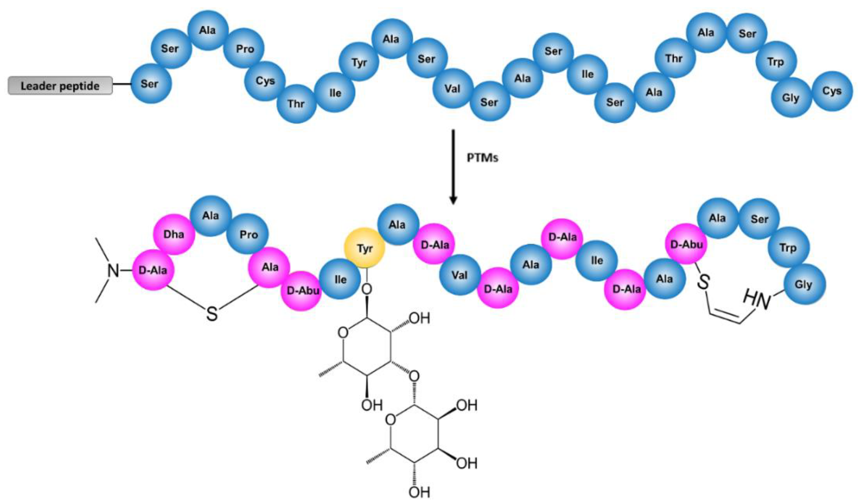 Antibiotics 10 00403 g001
