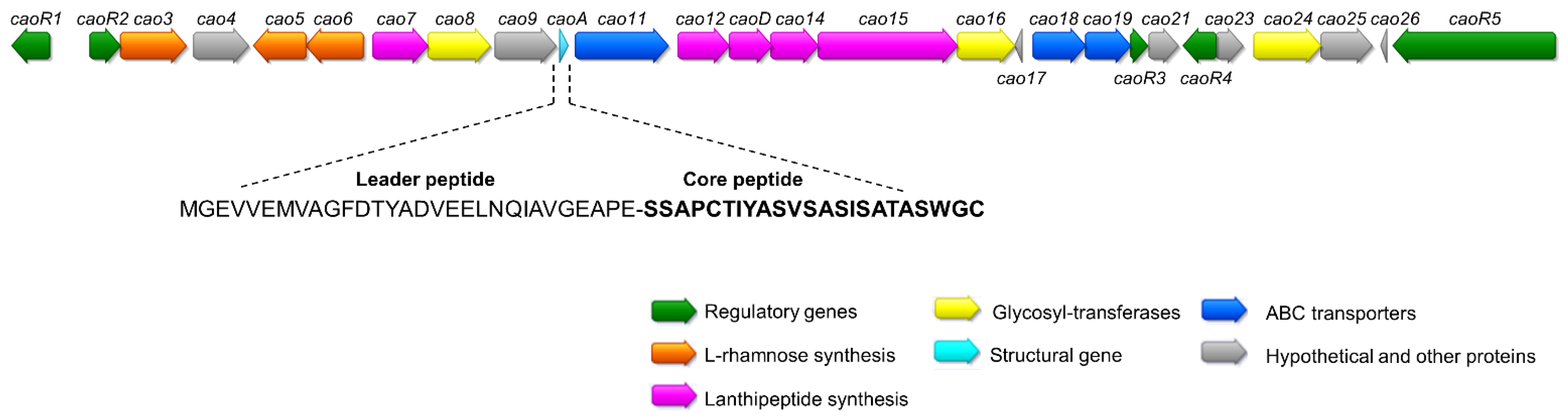 Antibiotics 10 00403 g002
