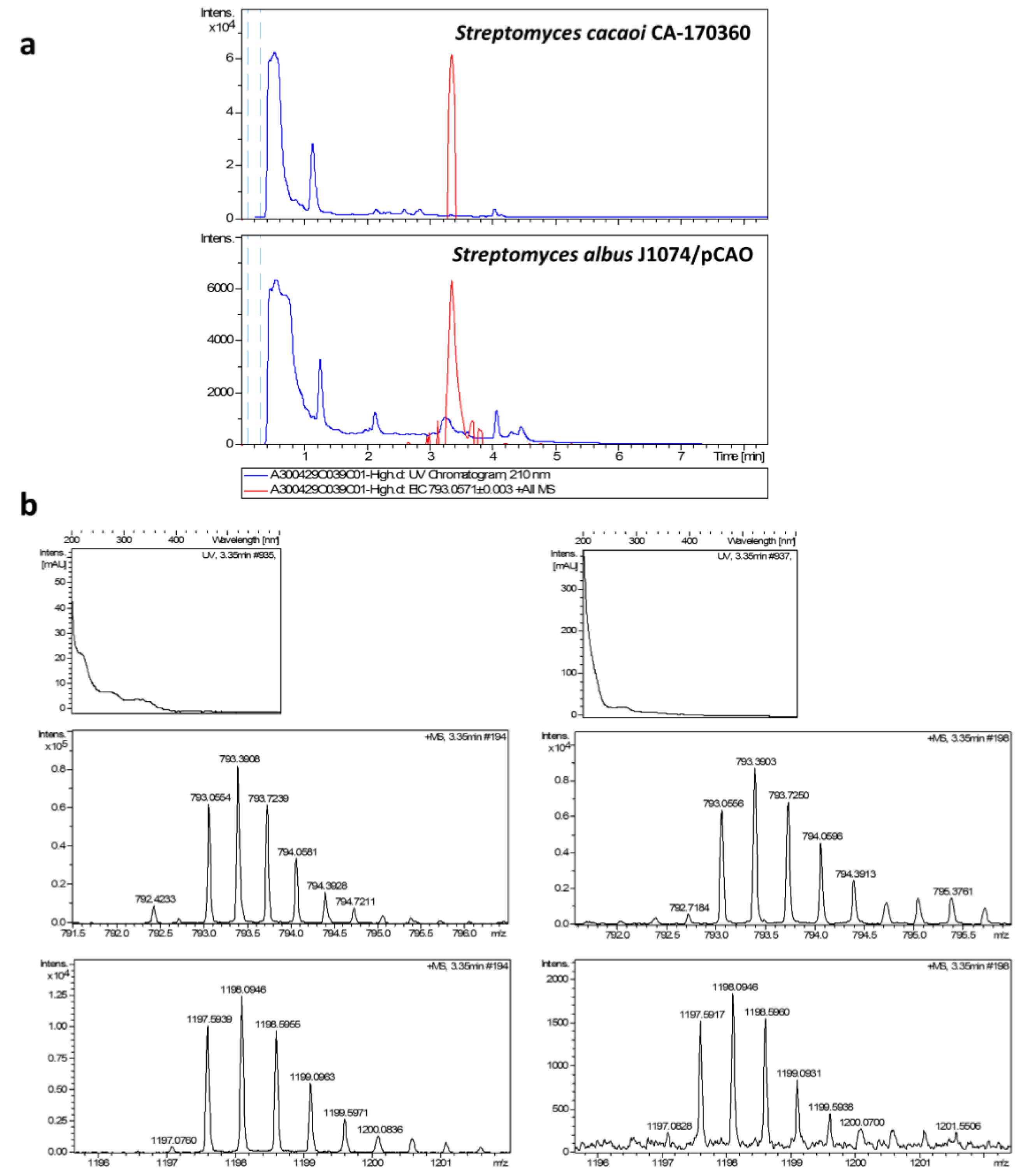 Antibiotics 10 00403 g003