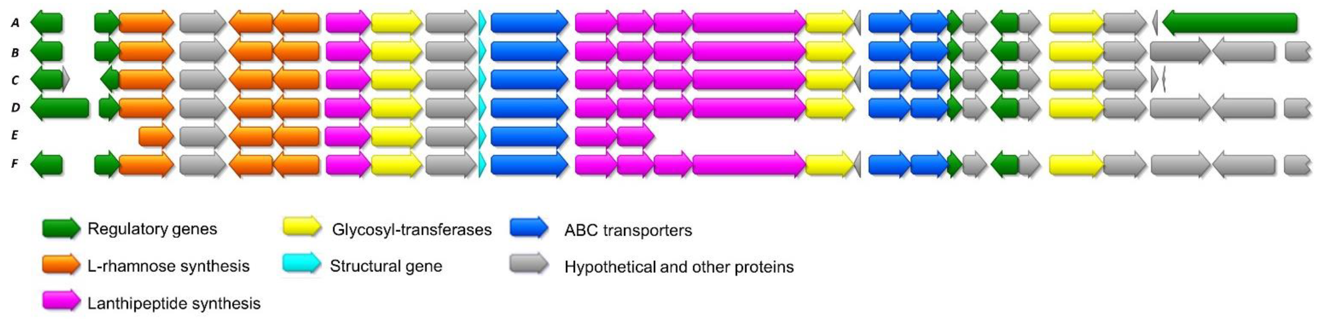 Antibiotics 10 00403 g005