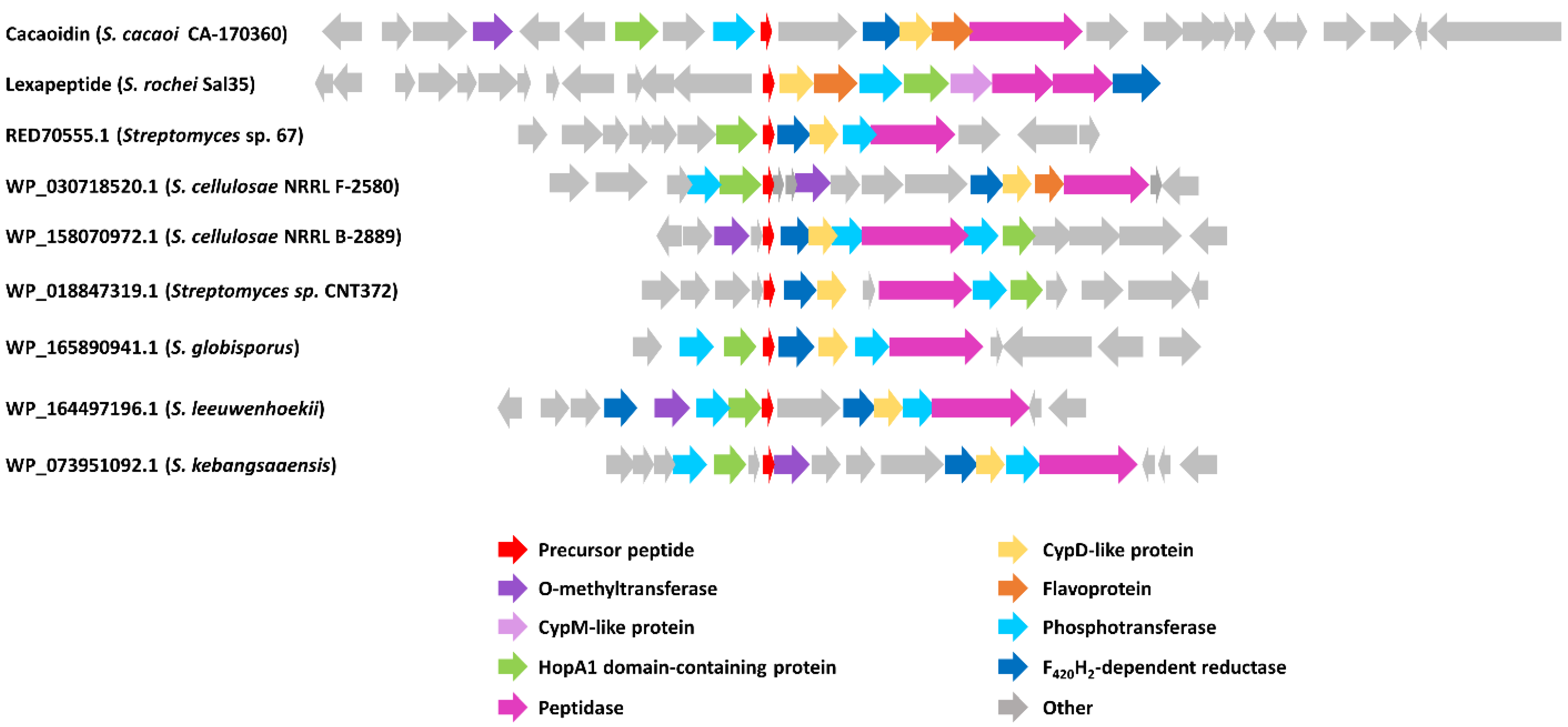 Antibiotics 10 00403 g006