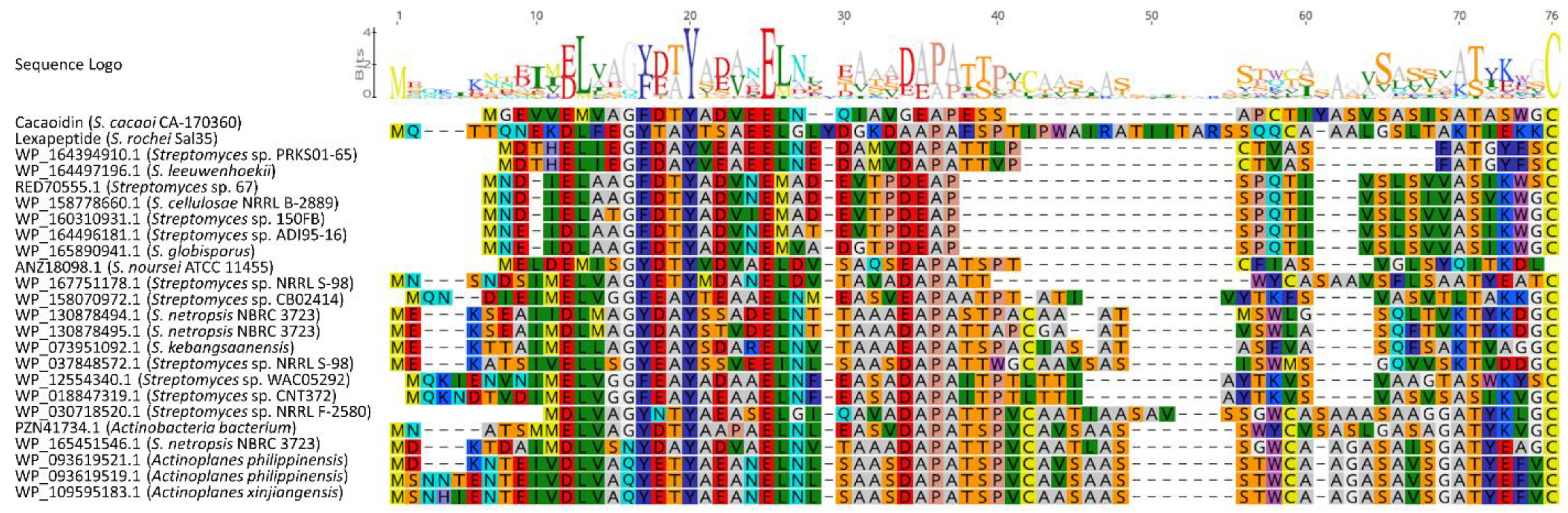 Antibiotics 10 00403 g007