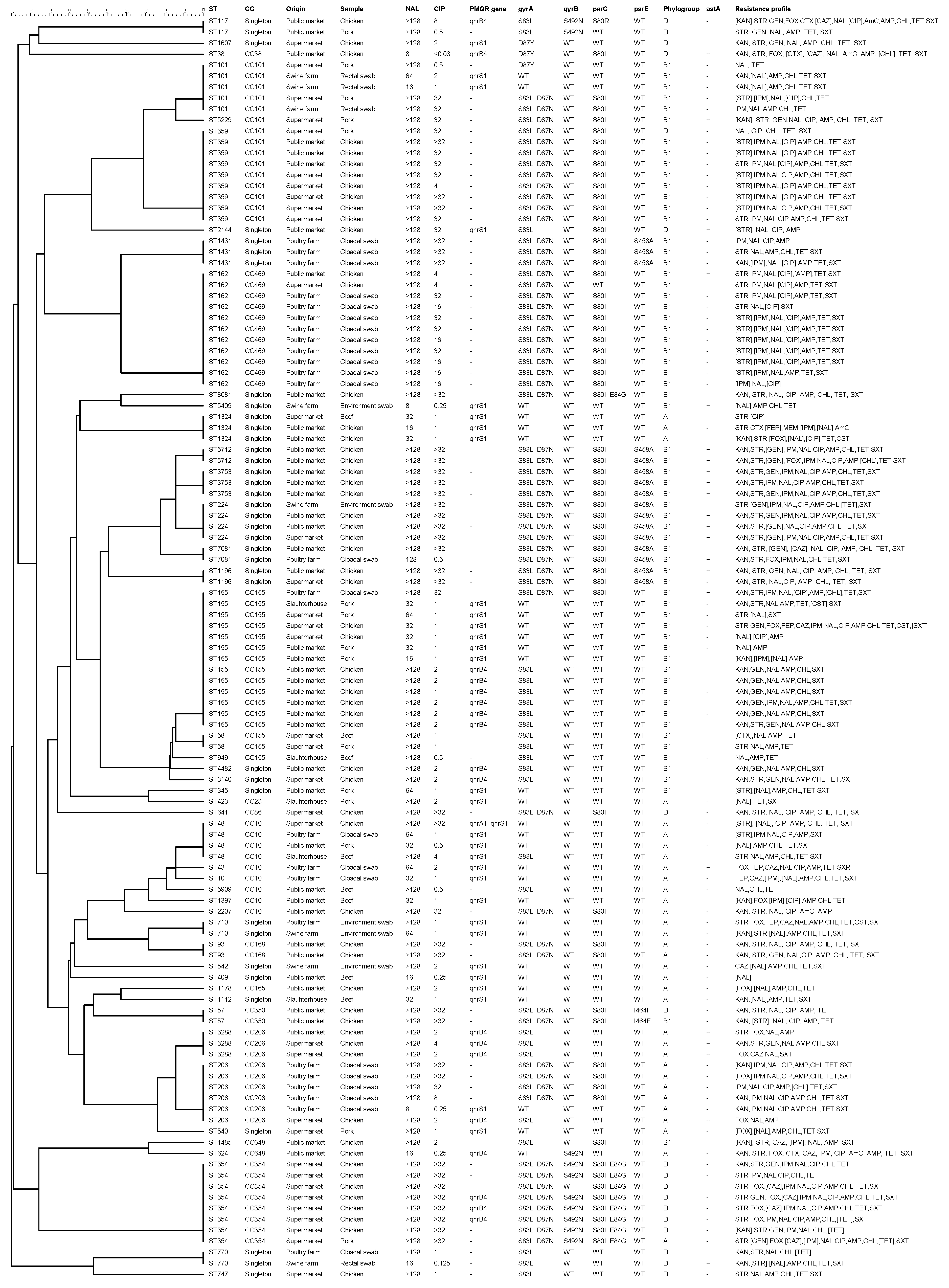 Antibiotics 10 00413 g001