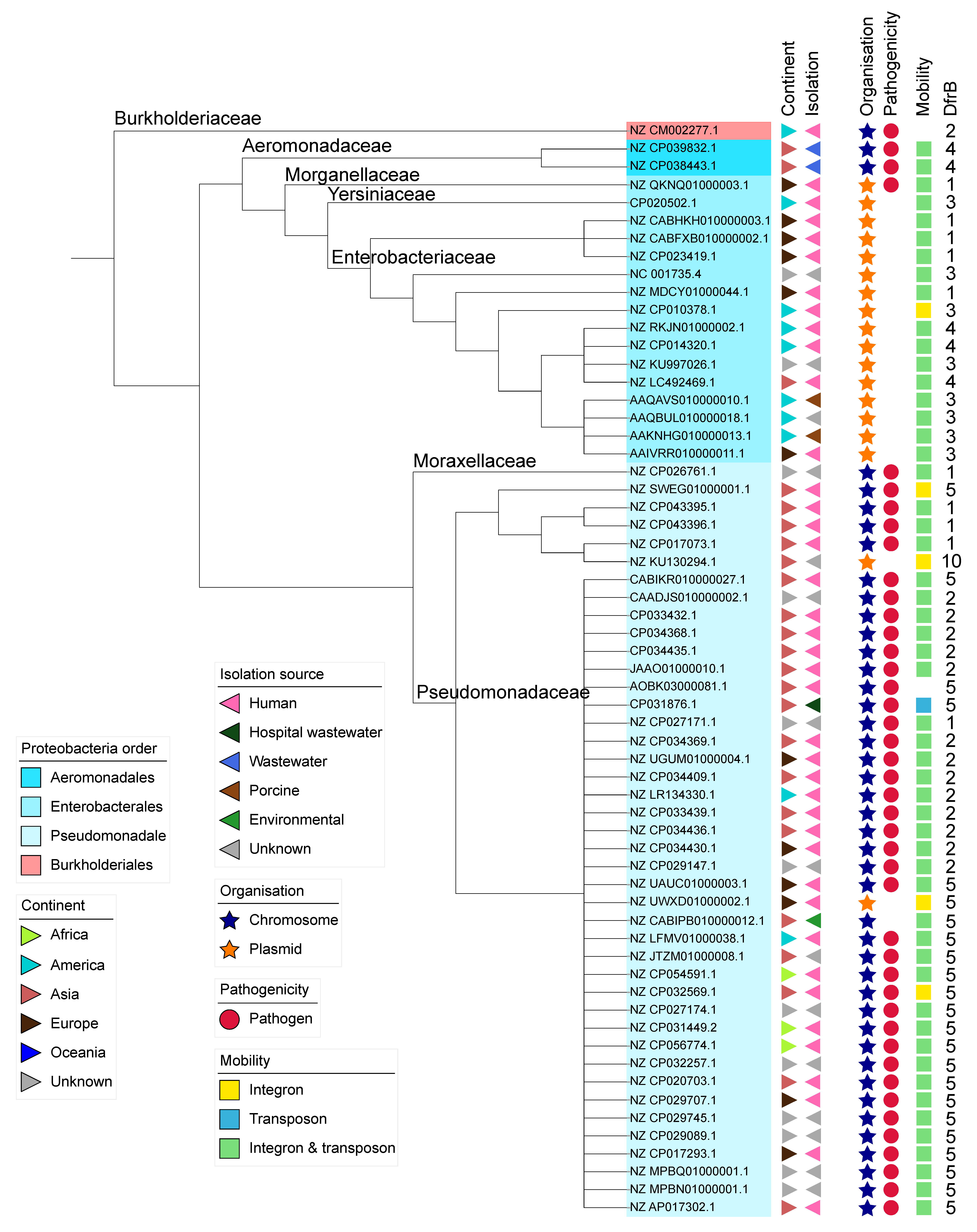 Antibiotics 10 00433 g001 Antibiotics 10 00433 g001