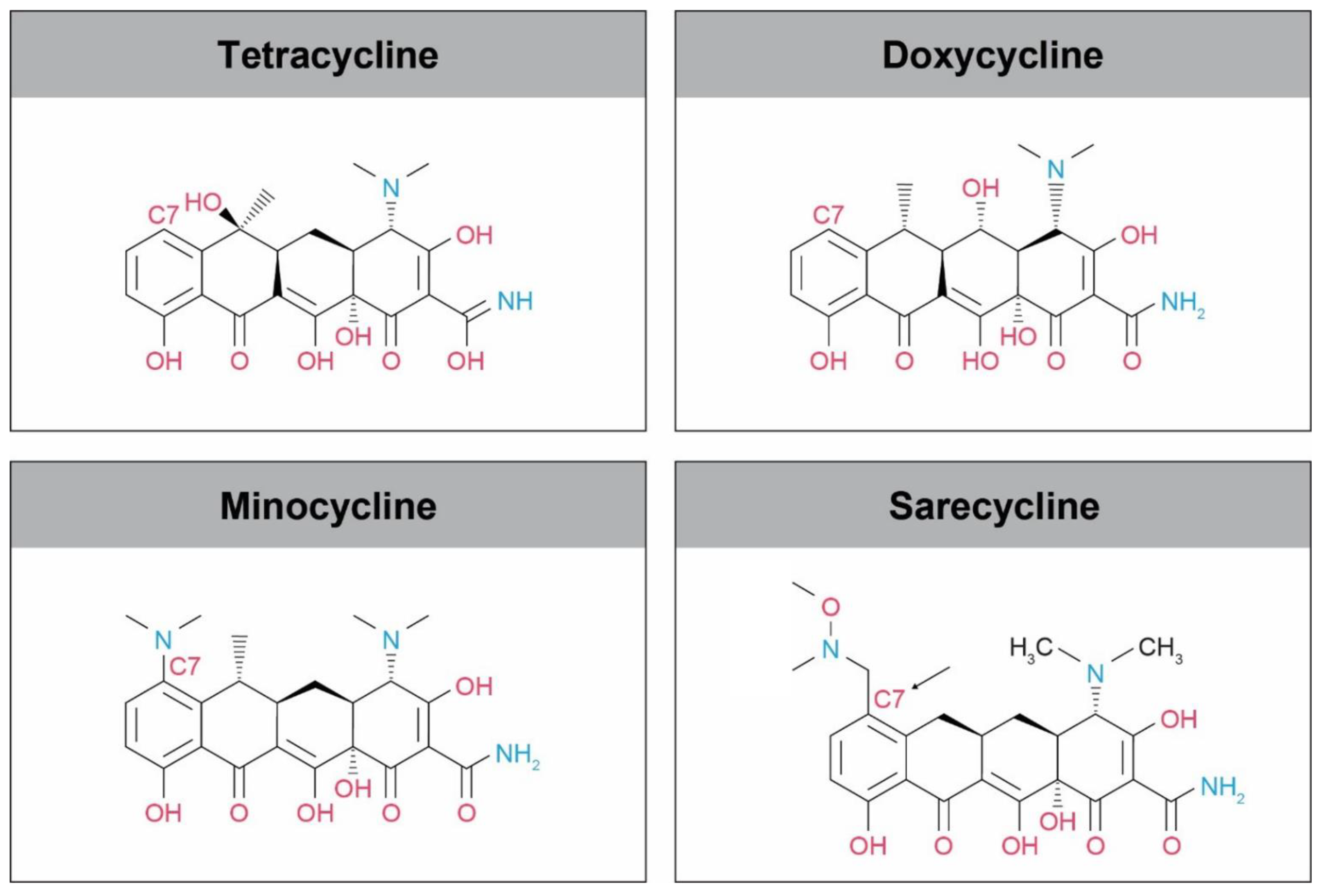 Antibiotics 10 00439 g001 Antibiotics 10 00439 g001