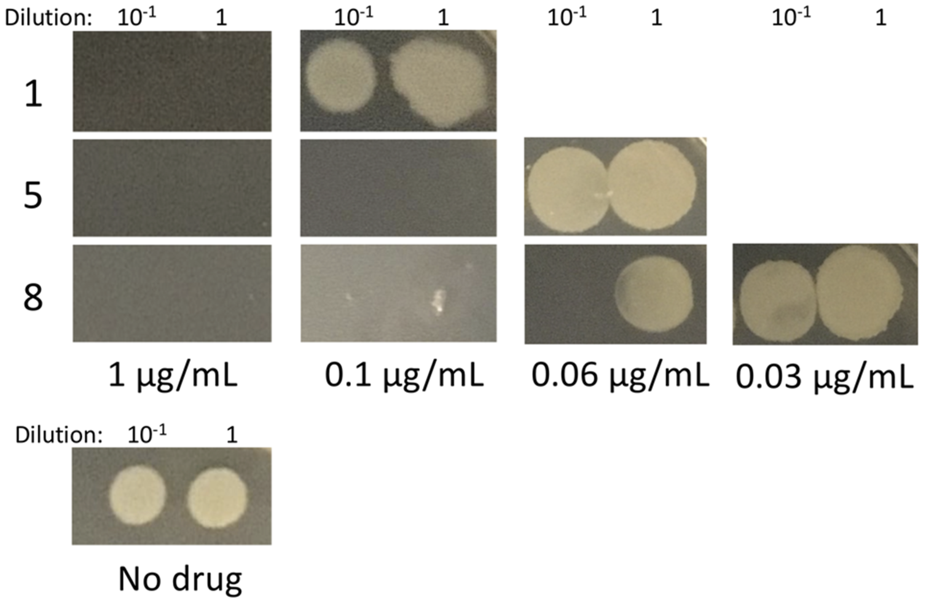 Antibiotics 10 00442 g004