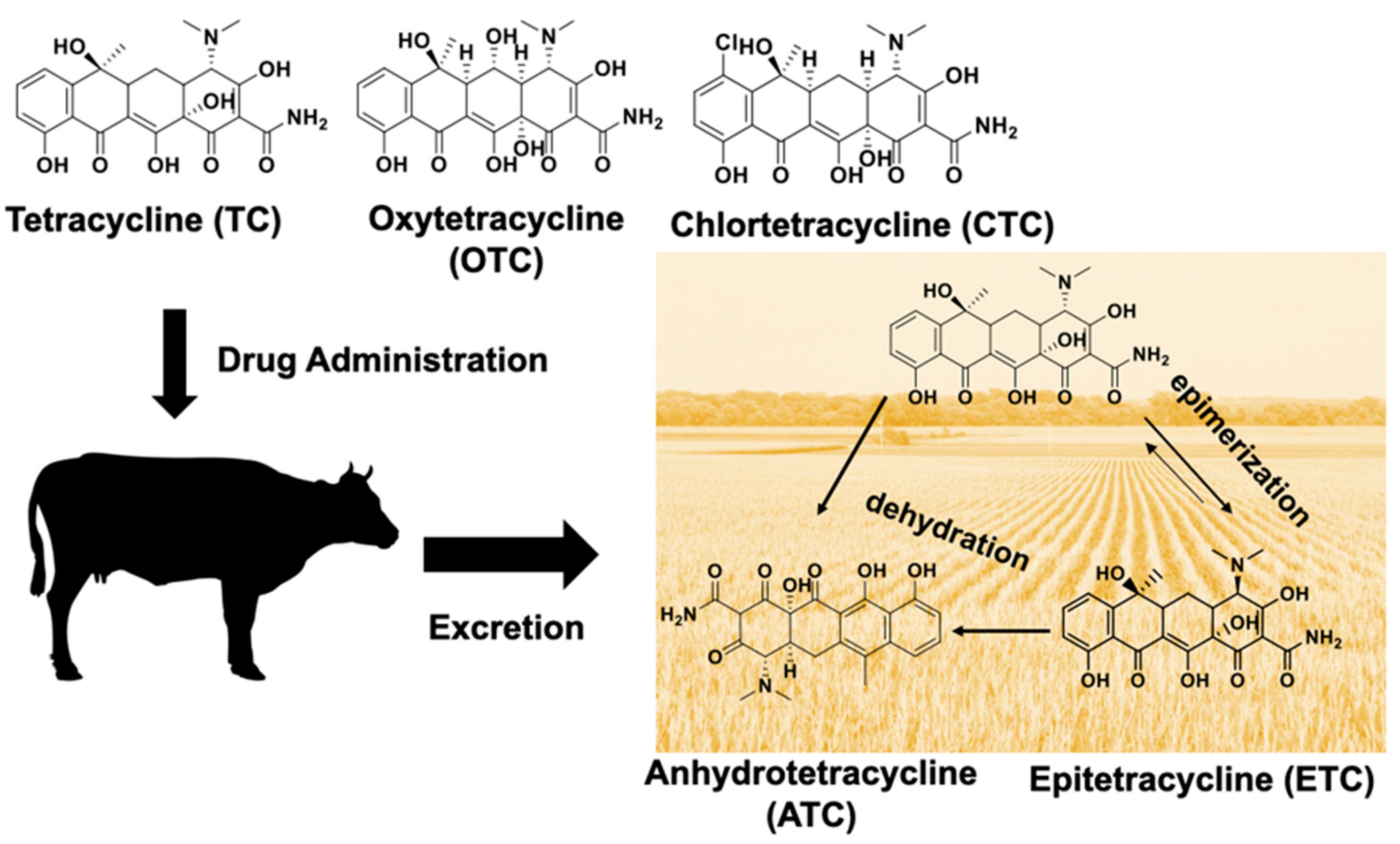 Antibiotics 10 00443 g001 Antibiotics 10 00443 g001