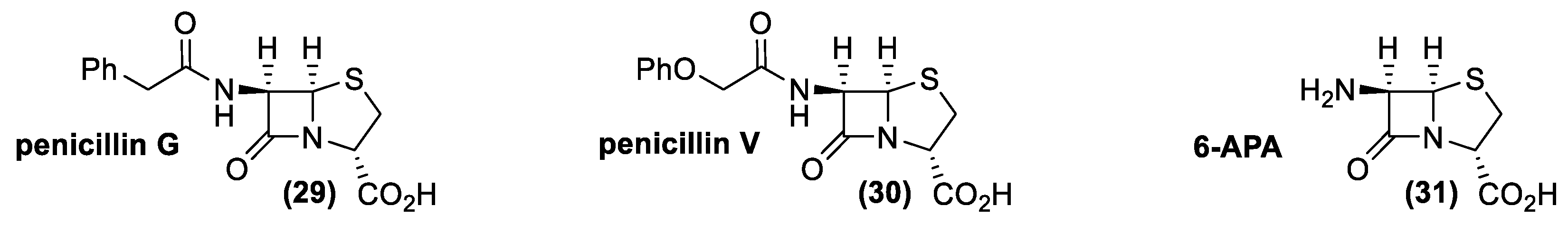 Antibiotics 10 00483 g013