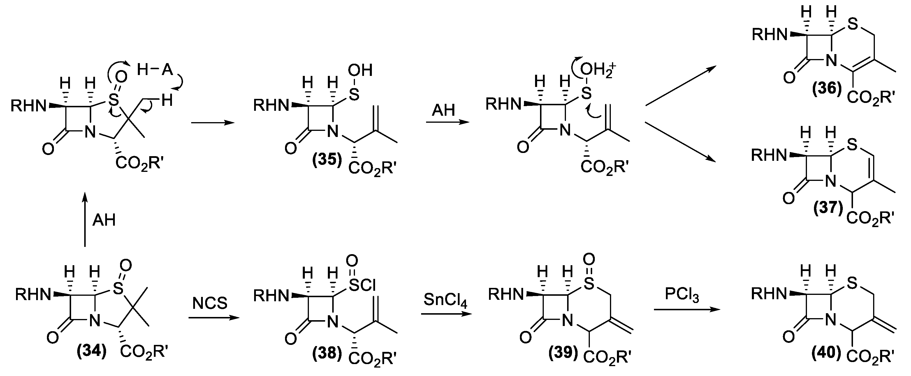 Antibiotics 10 00483 g015