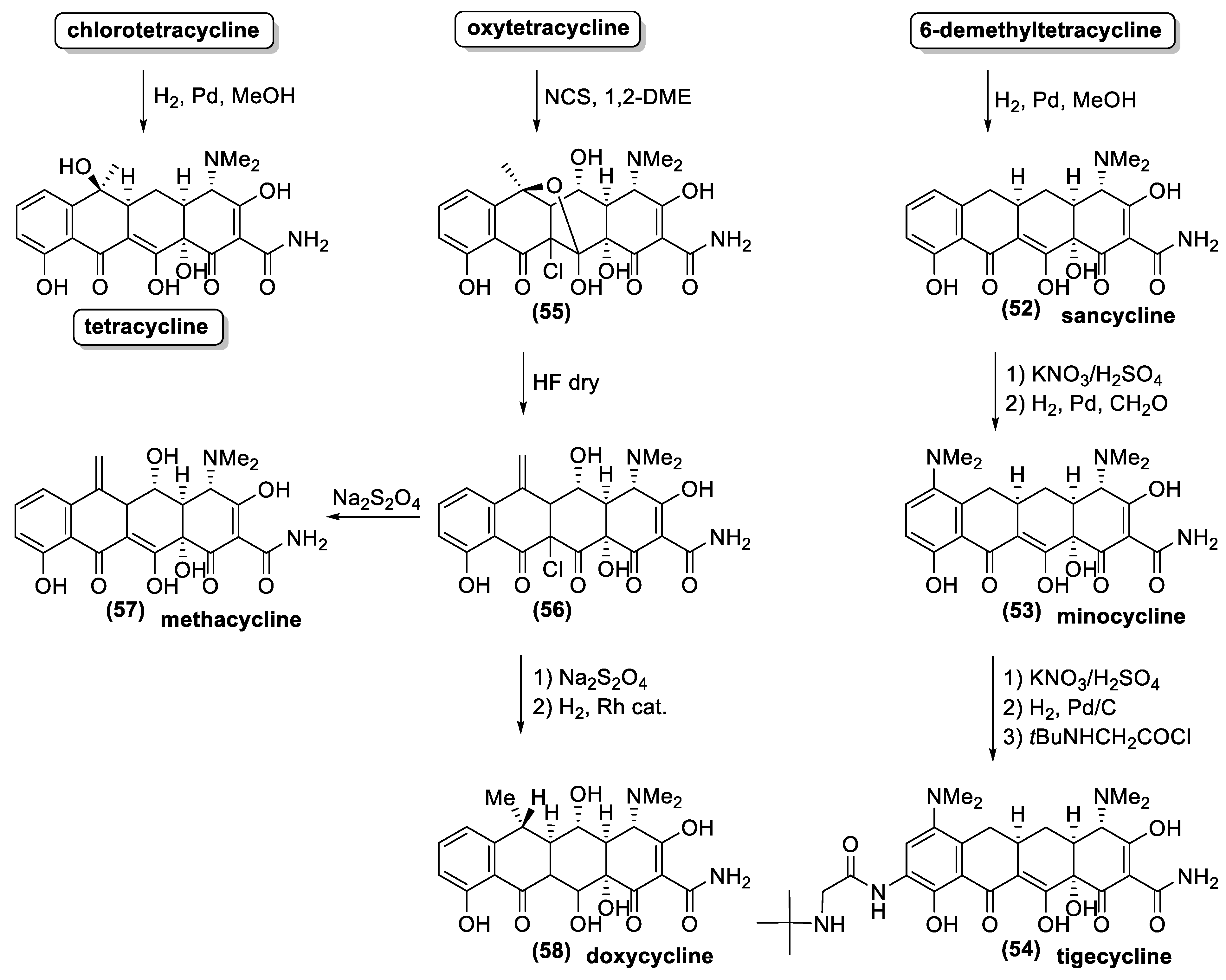 Antibiotics 10 00483 g019