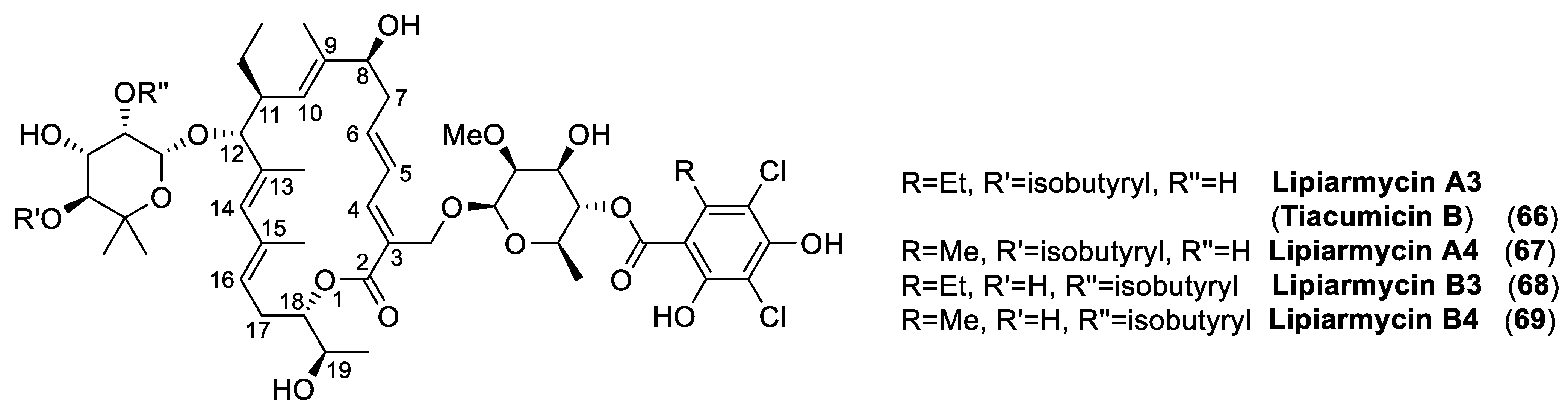 Antibiotics 10 00483 g022