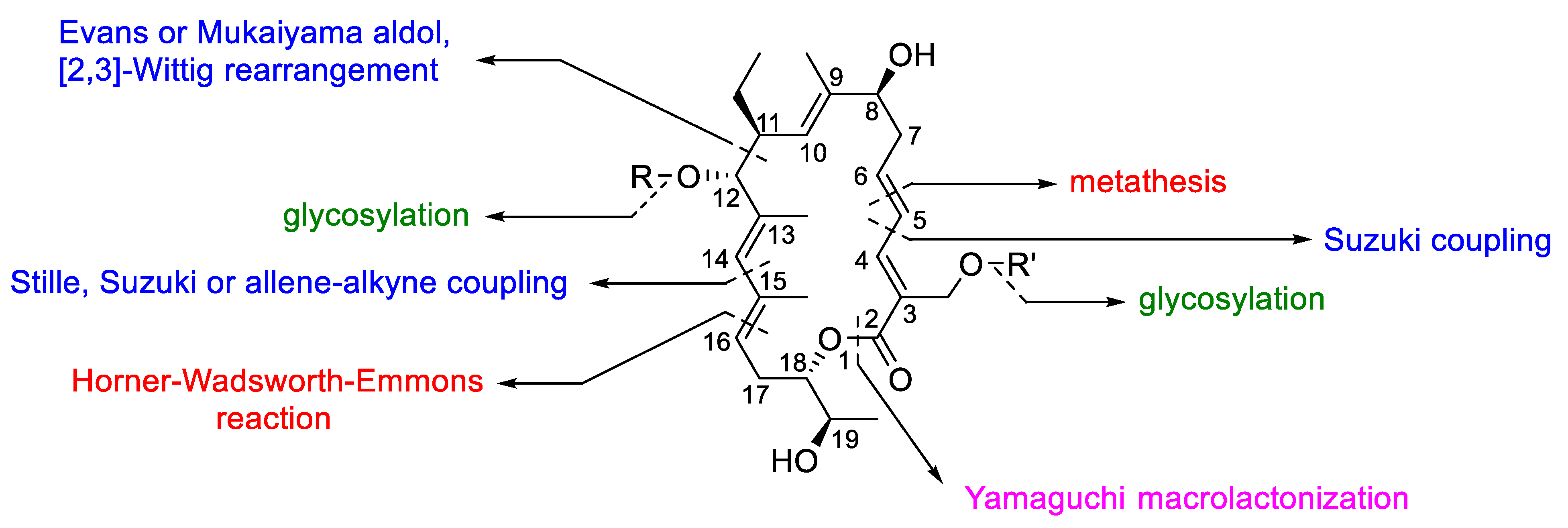 Antibiotics 10 00483 g024